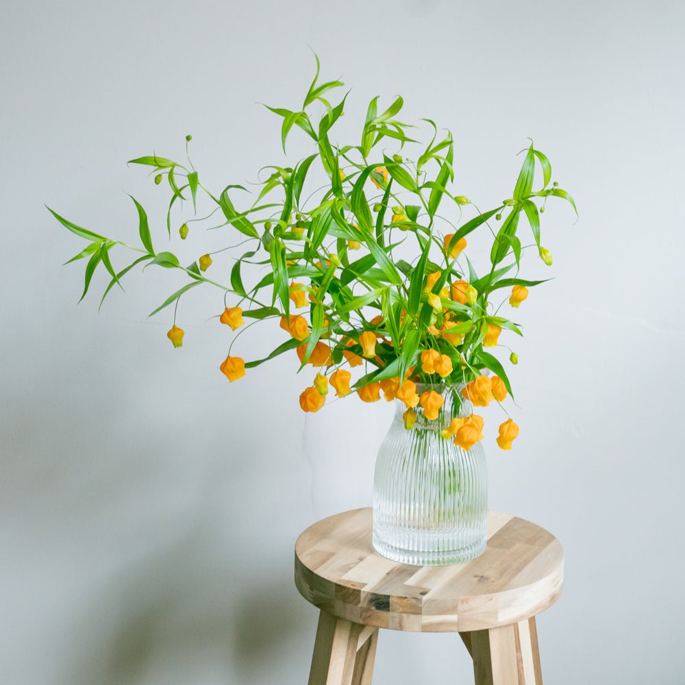 サンダーソニアのギフトをオーダーするならFlower&Plants tette │ 「手から手へ、想いを運ぶフラワーショップ」【板橋駅徒歩4分】【熟練フローリスト夫婦が運営】【最短2営業日で発送】【24時間365日注文OK】【ギフトは3300円〜】フラワーギフトを手から手へ、想いを込めたブーケやアレンジメントで大切な人に感謝と愛情を。シーンや用途に合わせて選びやすい豊富な種