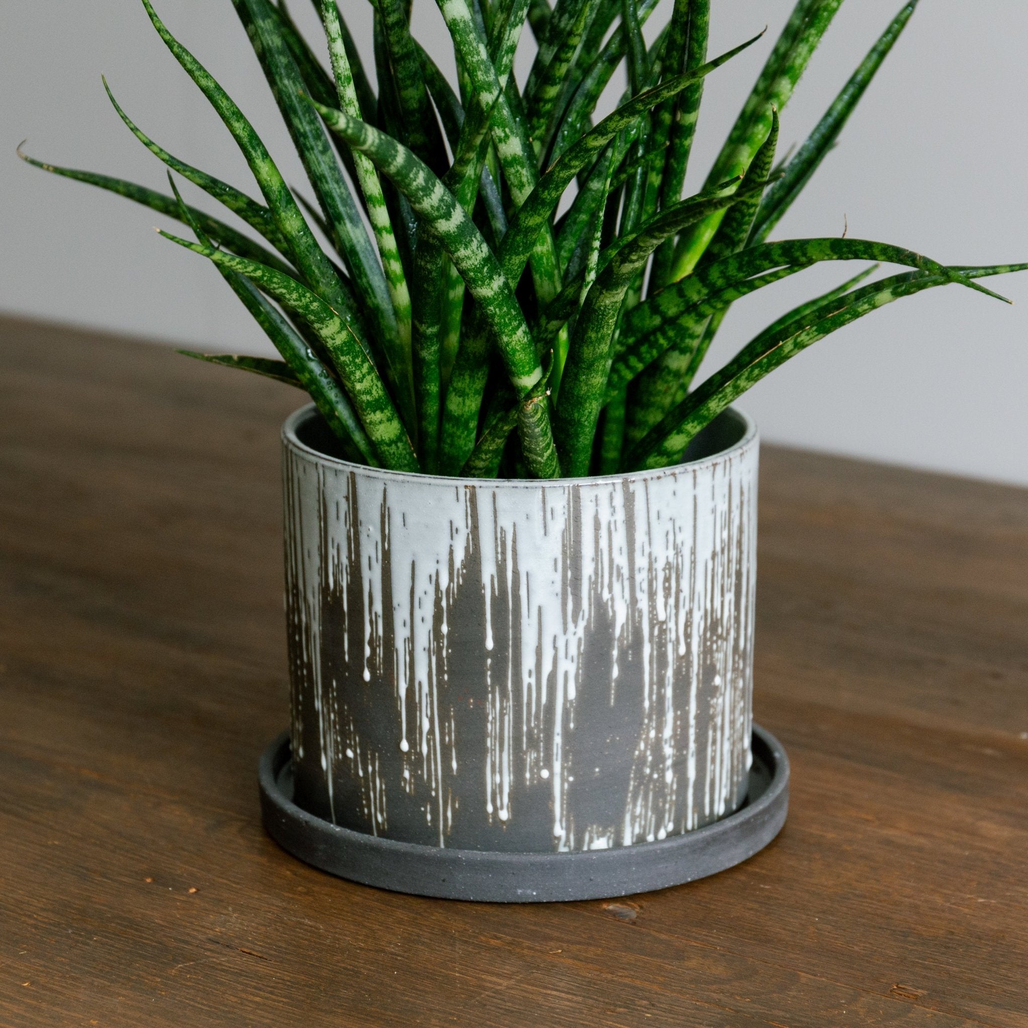 ベイト ラウンドをオーダーするならFlower&Plants tette │ 「手から手へ、想いを運ぶフラワーショップ」【板橋駅徒歩4分】【熟練フローリスト夫婦が運営】【最短2営業日で発送】【24時間365日注文OK】【ギフトは3300円〜】フラワーギフトを手から手へ、想いを込めたブーケやアレンジメントで大切な人に感謝と愛情を。シーンや用途に合わせて選びやすい豊富な種