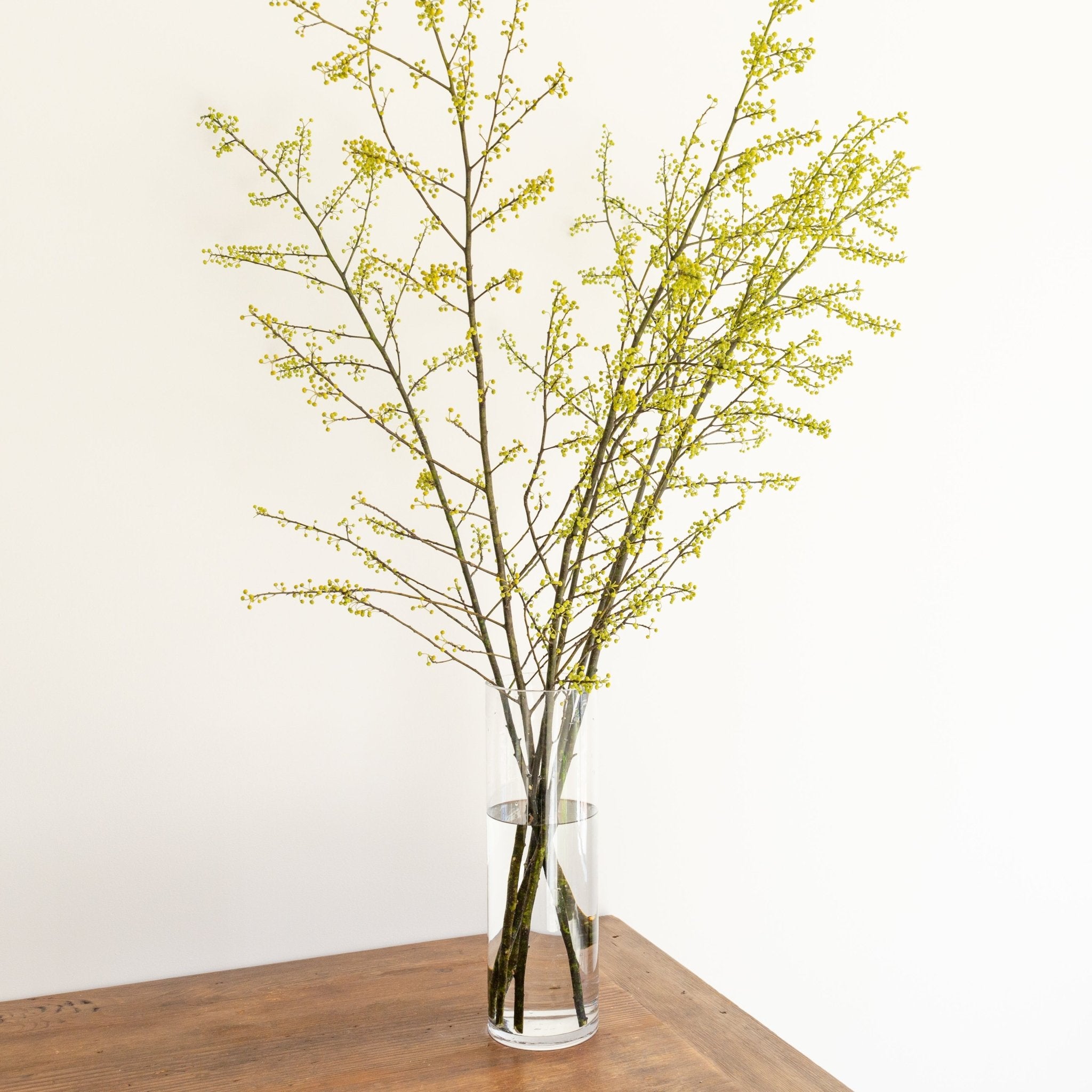 枝もの定期便をオーダーするならFlower&Plants tette │ 「手から手へ、想いを運ぶフラワーショップ」【板橋駅徒歩4分】【熟練フローリスト夫婦が運営】【最短2営業日で発送】【24時間365日注文OK】【ギフトは3300円〜】フラワーギフトを手から手へ、想いを込めたブーケやアレンジメントで大切な人に感謝と愛情を。シーンや用途に合わせて選びやすい豊富な種