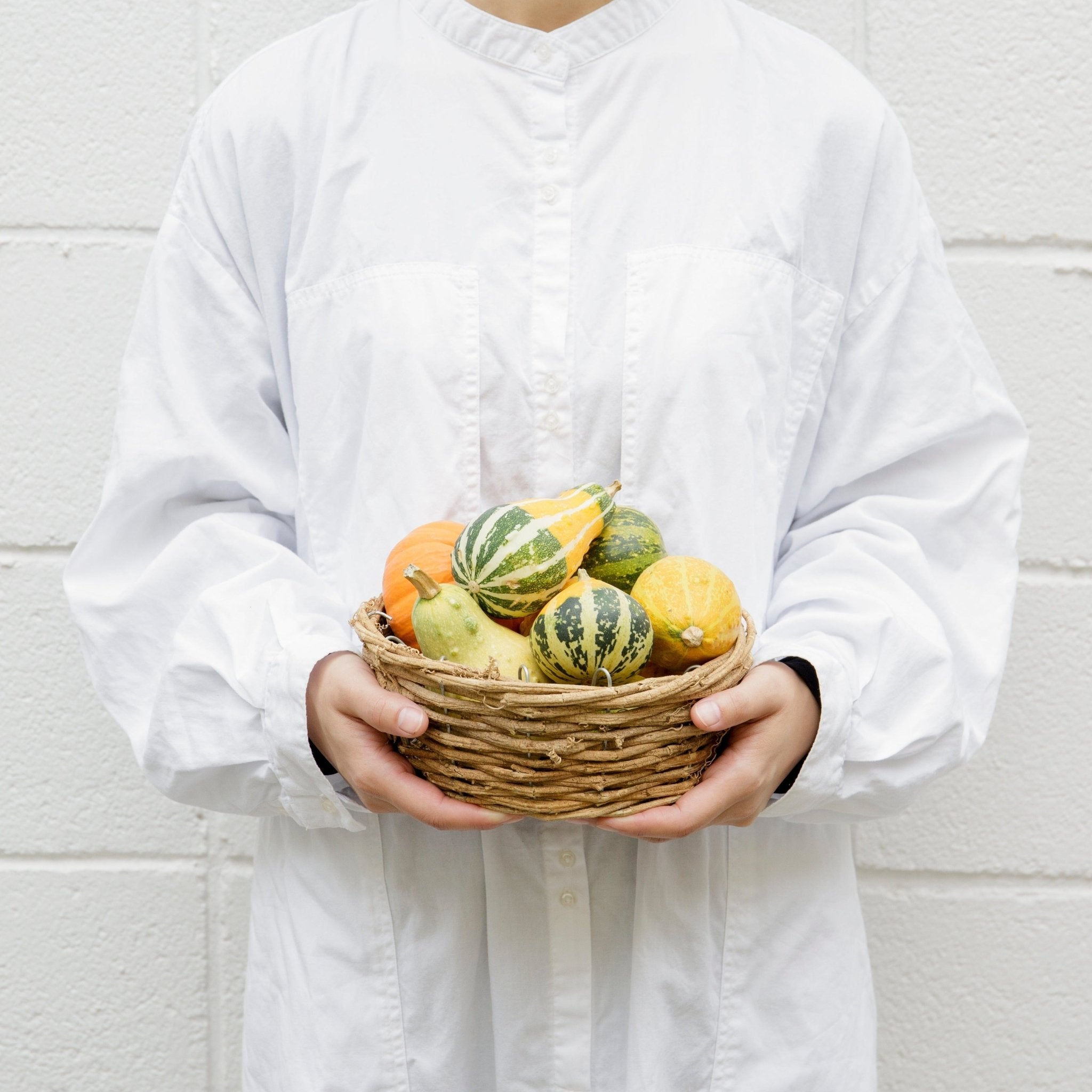 かぼちゃのバスケットをオーダーするならFlower&Plants tette │ 「手から手へ、想いを運ぶフラワーショップ」【板橋駅徒歩4分】【熟練フローリスト夫婦が運営】【最短2営業日で発送】【24時間365日注文OK】【ギフトは3300円〜】フラワーギフトを手から手へ、想いを込めたブーケやアレンジメントで大切な人に感謝と愛情を。シーンや用途に合わせて選びやすい豊富な種