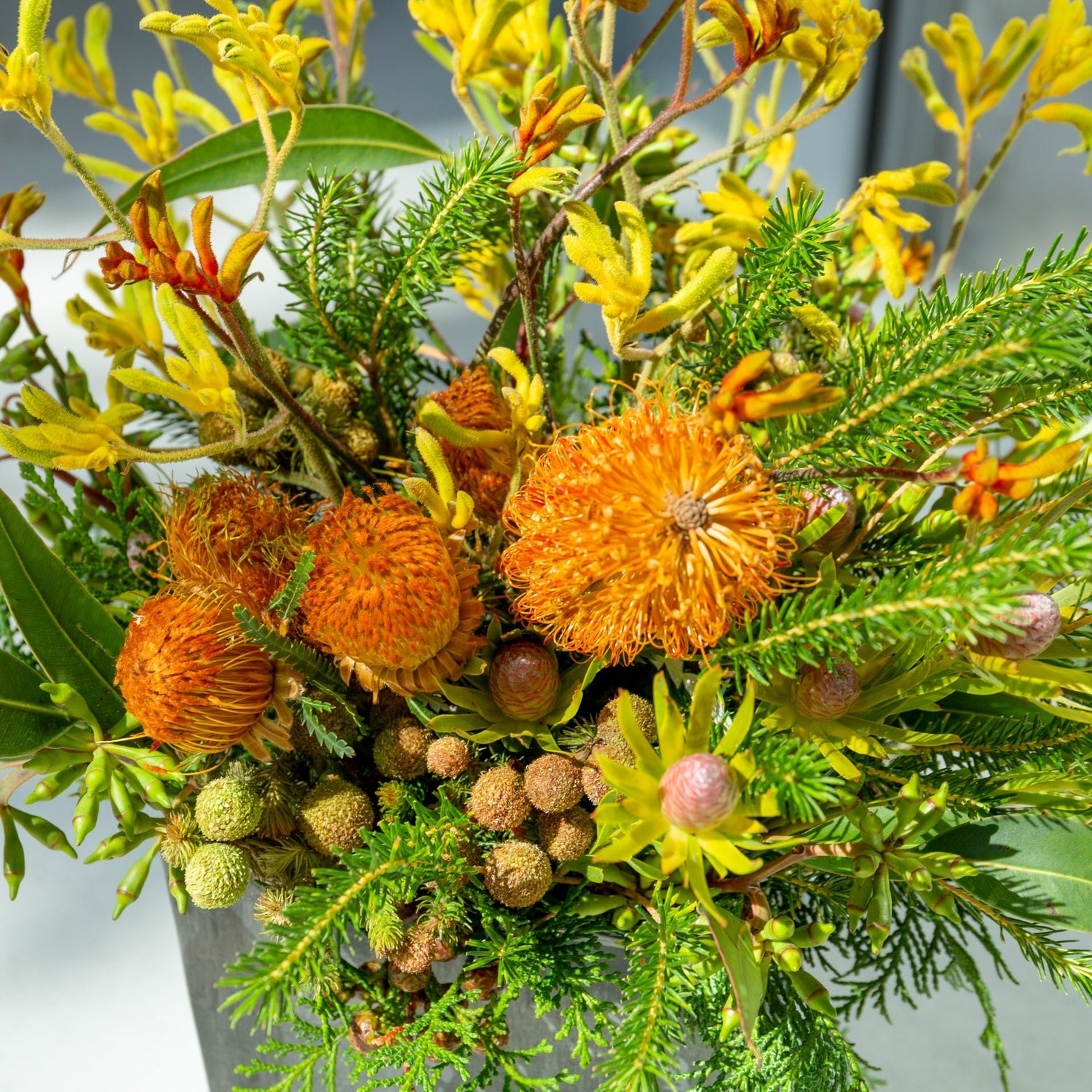 カンガルーポーのギフトをオーダーするならFlower&Plants tette │ 「手から手へ、想いを運ぶフラワーショップ」【板橋駅徒歩4分】【熟練フローリスト夫婦が運営】【最短2営業日で発送】【24時間365日注文OK】【ギフトは3300円〜】フラワーギフトを手から手へ、想いを込めたブーケやアレンジメントで大切な人に感謝と愛情を。シーンや用途に合わせて選びやすい豊富な種