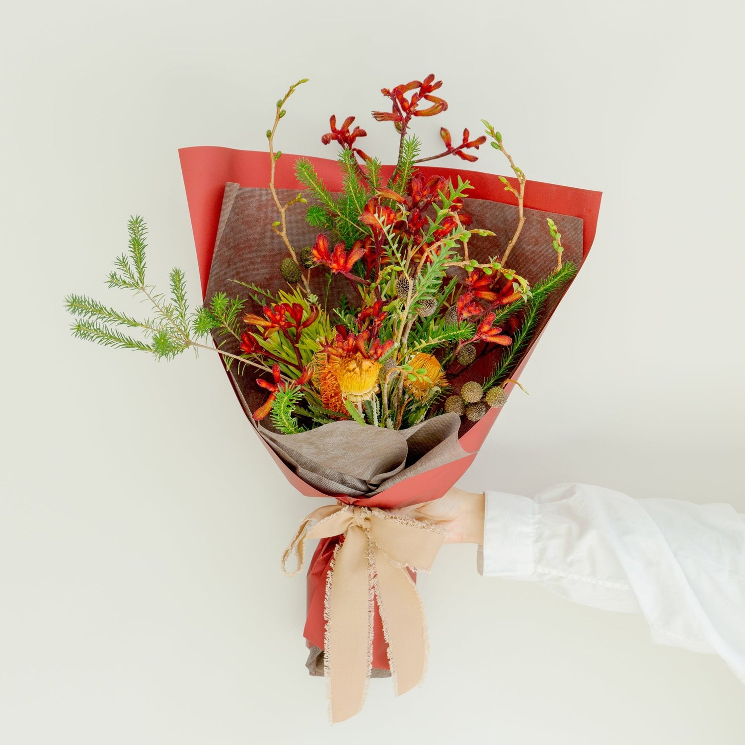 カンガルーポーのギフトをオーダーするならFlower&Plants tette │ 「手から手へ、想いを運ぶフラワーショップ」【板橋駅徒歩4分】【熟練フローリスト夫婦が運営】【最短2営業日で発送】【24時間365日注文OK】【ギフトは3300円〜】フラワーギフトを手から手へ、想いを込めたブーケやアレンジメントで大切な人に感謝と愛情を。シーンや用途に合わせて選びやすい豊富な種