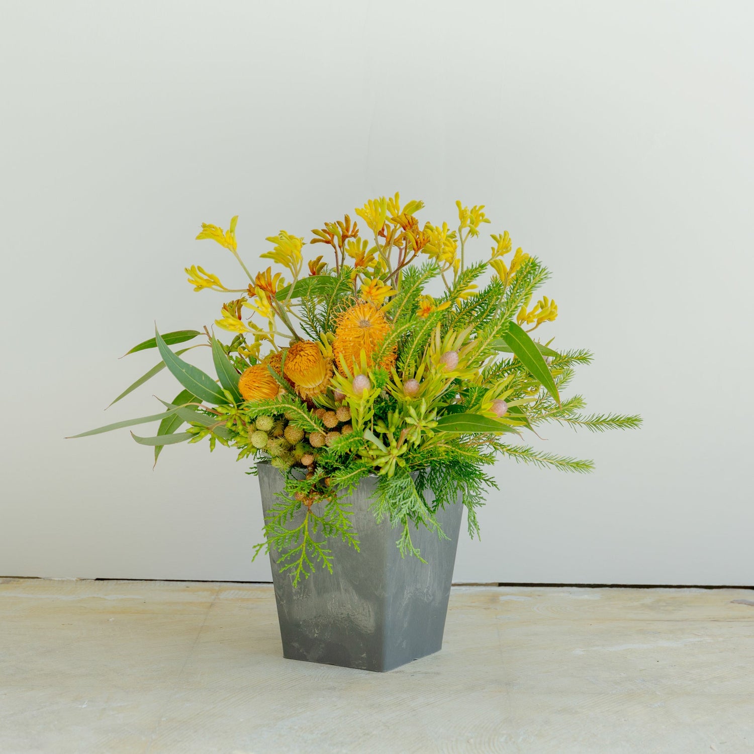 カンガルーポーのギフトをオーダーするならFlower&Plants tette │ 「手から手へ、想いを運ぶフラワーショップ」【板橋駅徒歩4分】【熟練フローリスト夫婦が運営】【最短2営業日で発送】【24時間365日注文OK】【ギフトは3300円〜】フラワーギフトを手から手へ、想いを込めたブーケやアレンジメントで大切な人に感謝と愛情を。シーンや用途に合わせて選びやすい豊富な種