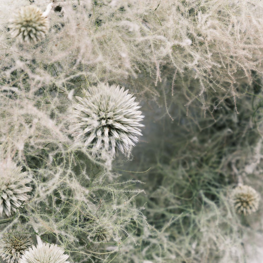 ドライリース スモークツリーをオーダーするならFlower&Plants tette │ 「手から手へ、想いを運ぶフラワーショップ」【板橋駅徒歩4分】【熟練フローリスト夫婦が運営】【最短2営業日で発送】【24時間365日注文OK】【ギフトは3300円〜】フラワーギフトを手から手へ、想いを込めたブーケやアレンジメントで大切な人に感謝と愛情を。シーンや用途に合わせて選びやすい豊富な種