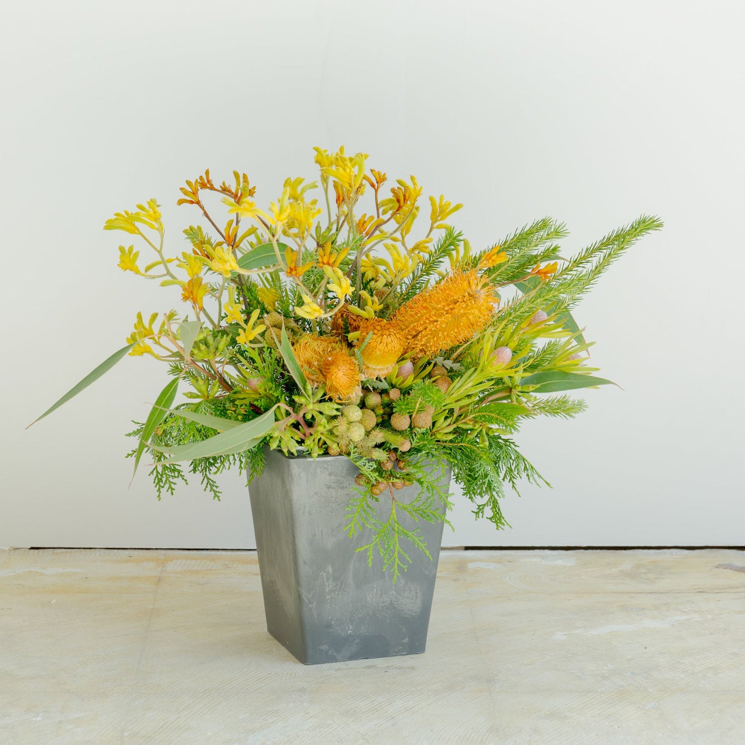 カンガルーポーのギフトをオーダーするならFlower&Plants tette │ 「手から手へ、想いを運ぶフラワーショップ」【板橋駅徒歩4分】【熟練フローリスト夫婦が運営】【最短2営業日で発送】【24時間365日注文OK】【ギフトは3300円〜】フラワーギフトを手から手へ、想いを込めたブーケやアレンジメントで大切な人に感謝と愛情を。シーンや用途に合わせて選びやすい豊富な種