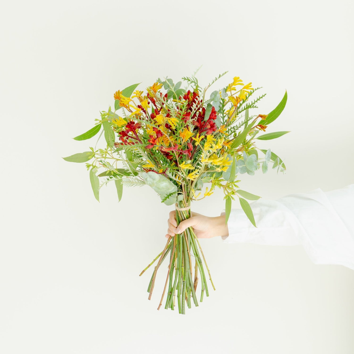 カンガルーポーのギフトをオーダーするならFlower&Plants tette │ 「手から手へ、想いを運ぶフラワーショップ」【板橋駅徒歩4分】【熟練フローリスト夫婦が運営】【最短2営業日で発送】【24時間365日注文OK】【ギフトは3300円〜】フラワーギフトを手から手へ、想いを込めたブーケやアレンジメントで大切な人に感謝と愛情を。シーンや用途に合わせて選びやすい豊富な種