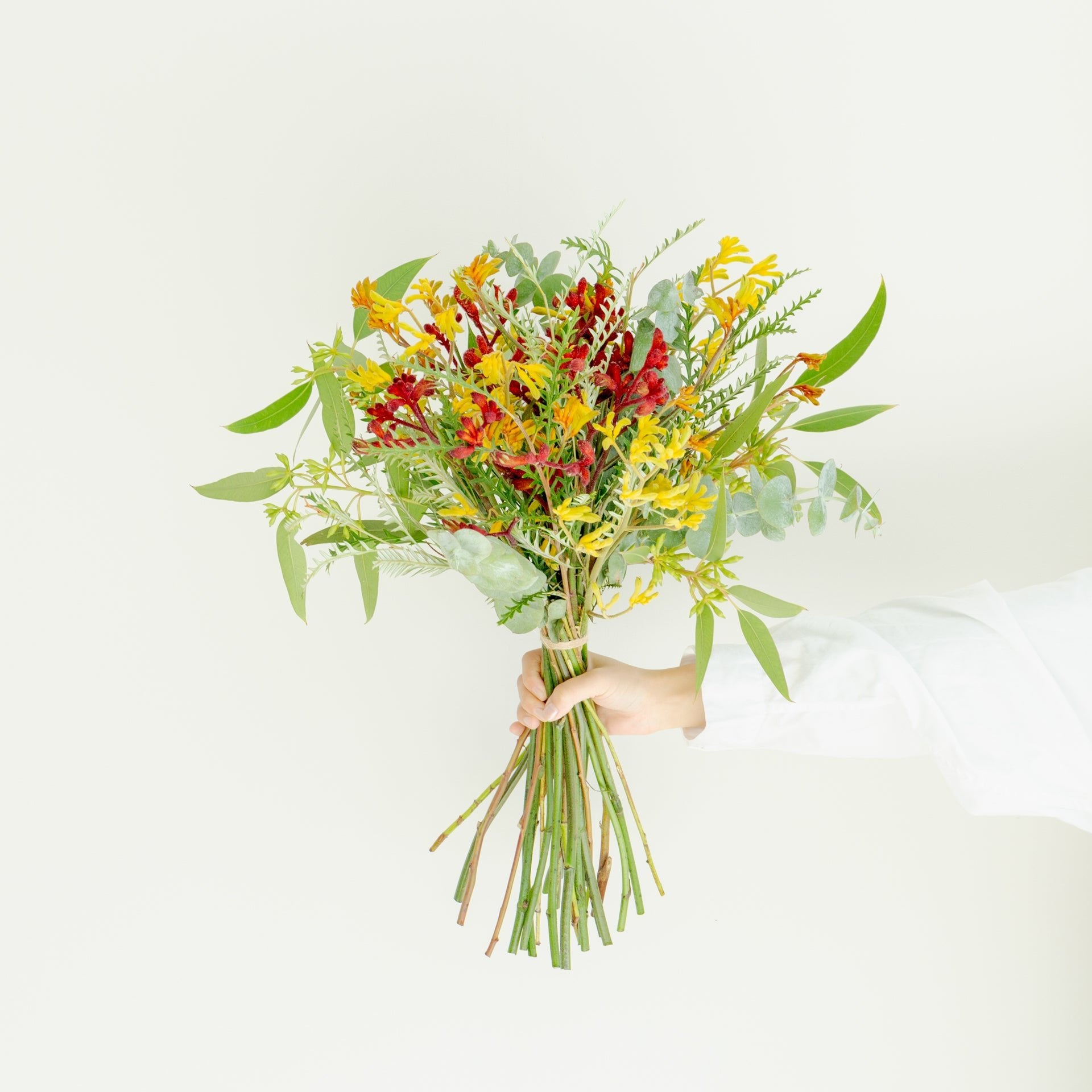 カンガルーポーのギフトをオーダーするならFlower&Plants tette │ 「手から手へ、想いを運ぶフラワーショップ」【板橋駅徒歩4分】【熟練フローリスト夫婦が運営】【最短2営業日で発送】【24時間365日注文OK】【ギフトは3300円〜】フラワーギフトを手から手へ、想いを込めたブーケやアレンジメントで大切な人に感謝と愛情を。シーンや用途に合わせて選びやすい豊富な種