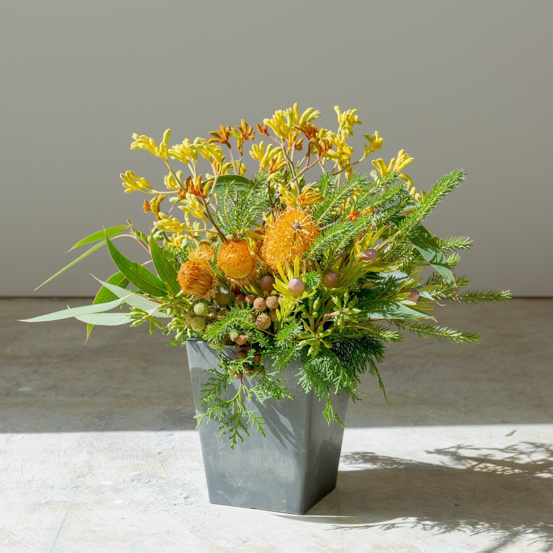 カンガルーポーのギフトをオーダーするならFlower&Plants tette │ 「手から手へ、想いを運ぶフラワーショップ」【板橋駅徒歩4分】【熟練フローリスト夫婦が運営】【最短2営業日で発送】【24時間365日注文OK】【ギフトは3300円〜】フラワーギフトを手から手へ、想いを込めたブーケやアレンジメントで大切な人に感謝と愛情を。シーンや用途に合わせて選びやすい豊富な種