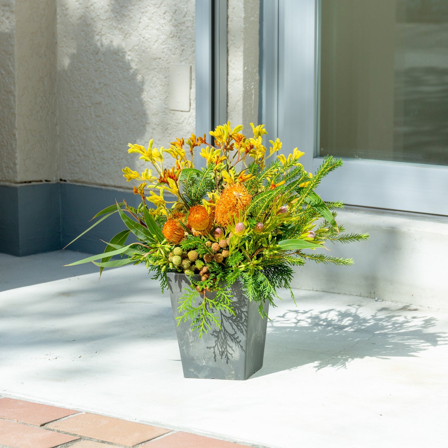 カンガルーポーのギフトをオーダーするならFlower&Plants tette │ 「手から手へ、想いを運ぶフラワーショップ」【板橋駅徒歩4分】【熟練フローリスト夫婦が運営】【最短2営業日で発送】【24時間365日注文OK】【ギフトは3300円〜】フラワーギフトを手から手へ、想いを込めたブーケやアレンジメントで大切な人に感謝と愛情を。シーンや用途に合わせて選びやすい豊富な種