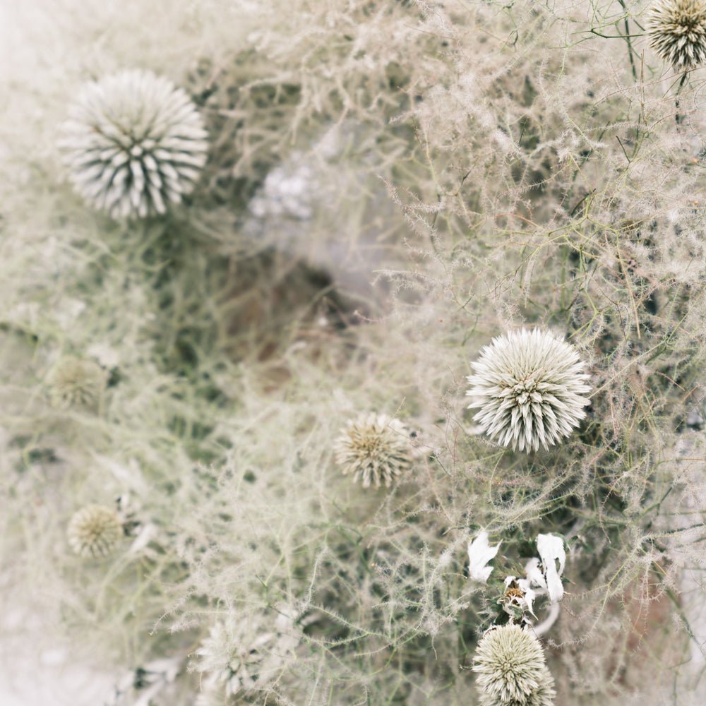 ドライリース スモークツリーをオーダーするならFlower&Plants tette │ 「手から手へ、想いを運ぶフラワーショップ」【板橋駅徒歩4分】【熟練フローリスト夫婦が運営】【最短2営業日で発送】【24時間365日注文OK】【ギフトは3300円〜】フラワーギフトを手から手へ、想いを込めたブーケやアレンジメントで大切な人に感謝と愛情を。シーンや用途に合わせて選びやすい豊富な種