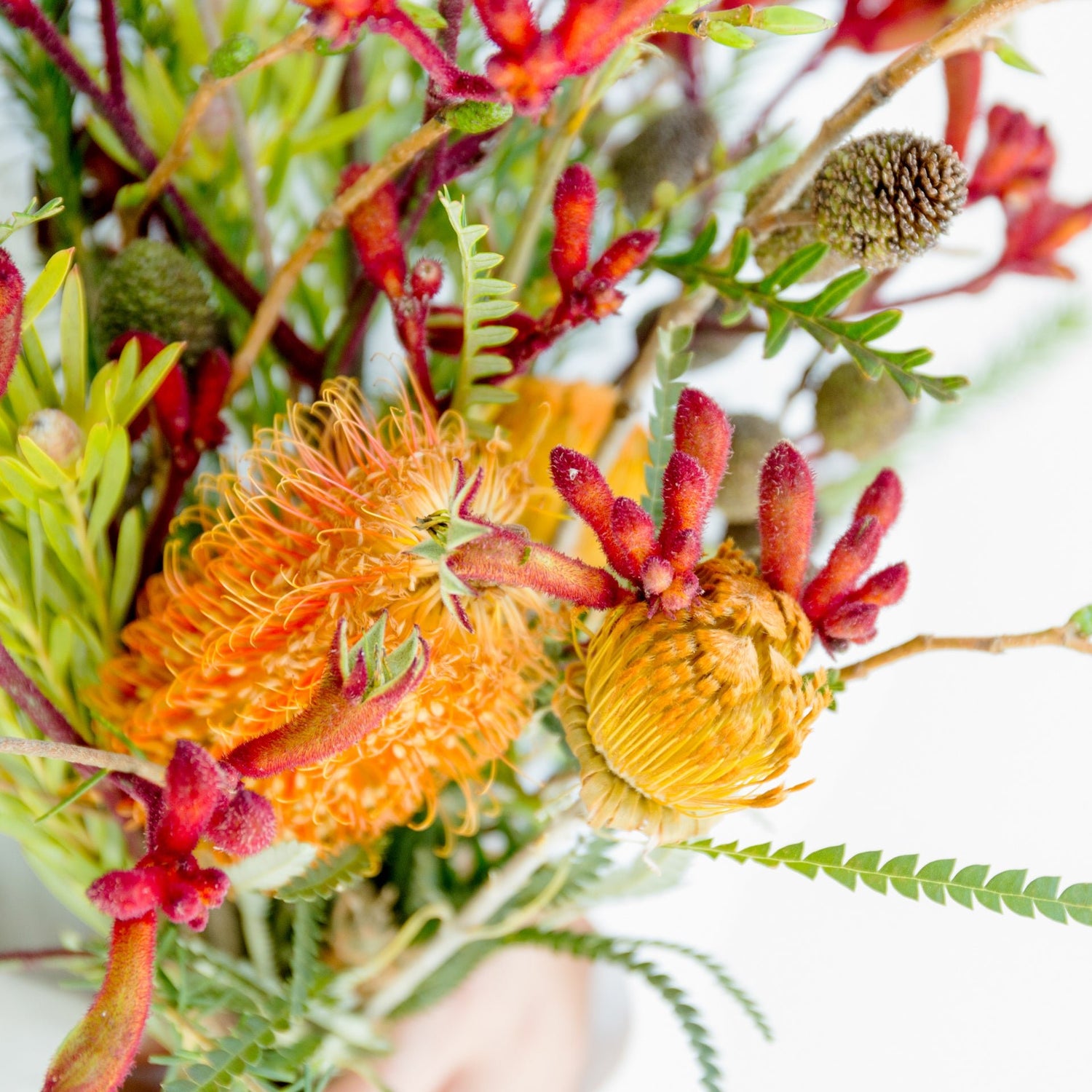 カンガルーポーのギフトをオーダーするならFlower&Plants tette │ 「手から手へ、想いを運ぶフラワーショップ」【板橋駅徒歩4分】【熟練フローリスト夫婦が運営】【最短2営業日で発送】【24時間365日注文OK】【ギフトは3300円〜】フラワーギフトを手から手へ、想いを込めたブーケやアレンジメントで大切な人に感謝と愛情を。シーンや用途に合わせて選びやすい豊富な種