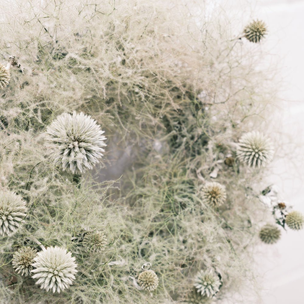 ドライリース スモークツリーをオーダーするならFlower&Plants tette │ 「手から手へ、想いを運ぶフラワーショップ」【板橋駅徒歩4分】【熟練フローリスト夫婦が運営】【最短2営業日で発送】【24時間365日注文OK】【ギフトは3300円〜】フラワーギフトを手から手へ、想いを込めたブーケやアレンジメントで大切な人に感謝と愛情を。シーンや用途に合わせて選びやすい豊富な種