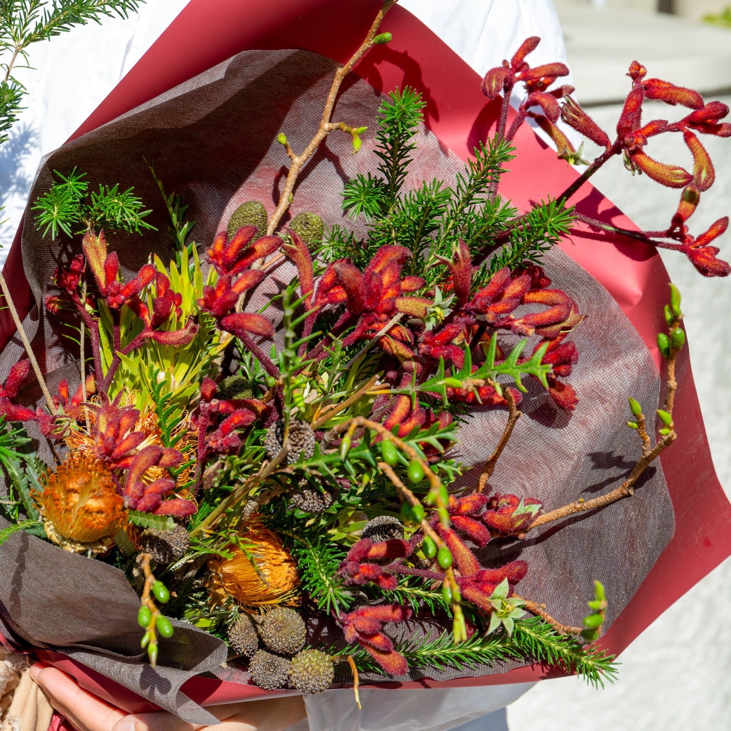 カンガルーポーのギフトをオーダーするならFlower&Plants tette │ 「手から手へ、想いを運ぶフラワーショップ」【板橋駅徒歩4分】【熟練フローリスト夫婦が運営】【最短2営業日で発送】【24時間365日注文OK】【ギフトは3300円〜】フラワーギフトを手から手へ、想いを込めたブーケやアレンジメントで大切な人に感謝と愛情を。シーンや用途に合わせて選びやすい豊富な種