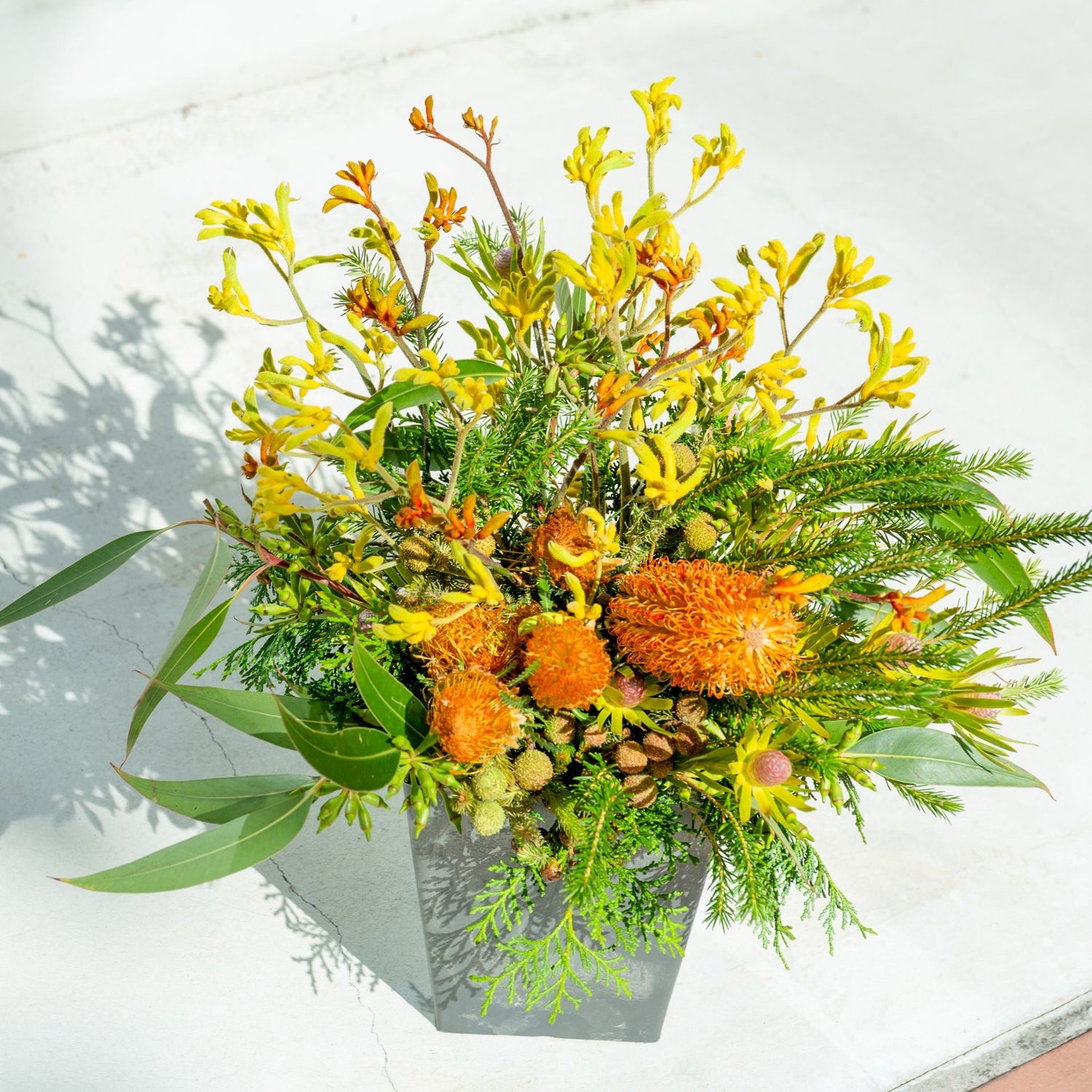 カンガルーポーのギフトをオーダーするならFlower&Plants tette │ 「手から手へ、想いを運ぶフラワーショップ」【板橋駅徒歩4分】【熟練フローリスト夫婦が運営】【最短2営業日で発送】【24時間365日注文OK】【ギフトは3300円〜】フラワーギフトを手から手へ、想いを込めたブーケやアレンジメントで大切な人に感謝と愛情を。シーンや用途に合わせて選びやすい豊富な種