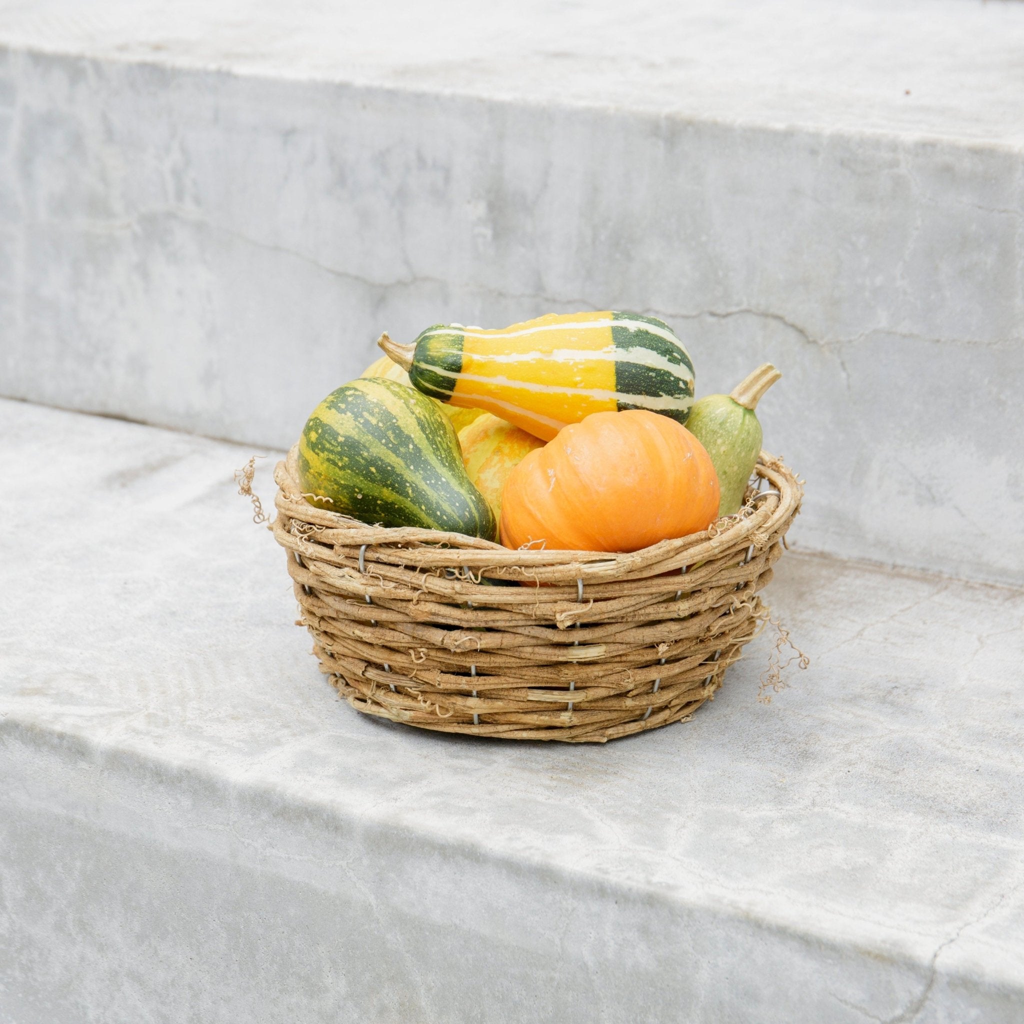 かぼちゃのバスケットをオーダーするならFlower&Plants tette │ 「手から手へ、想いを運ぶフラワーショップ」【板橋駅徒歩4分】【熟練フローリスト夫婦が運営】【最短2営業日で発送】【24時間365日注文OK】【ギフトは3300円〜】フラワーギフトを手から手へ、想いを込めたブーケやアレンジメントで大切な人に感謝と愛情を。シーンや用途に合わせて選びやすい豊富な種