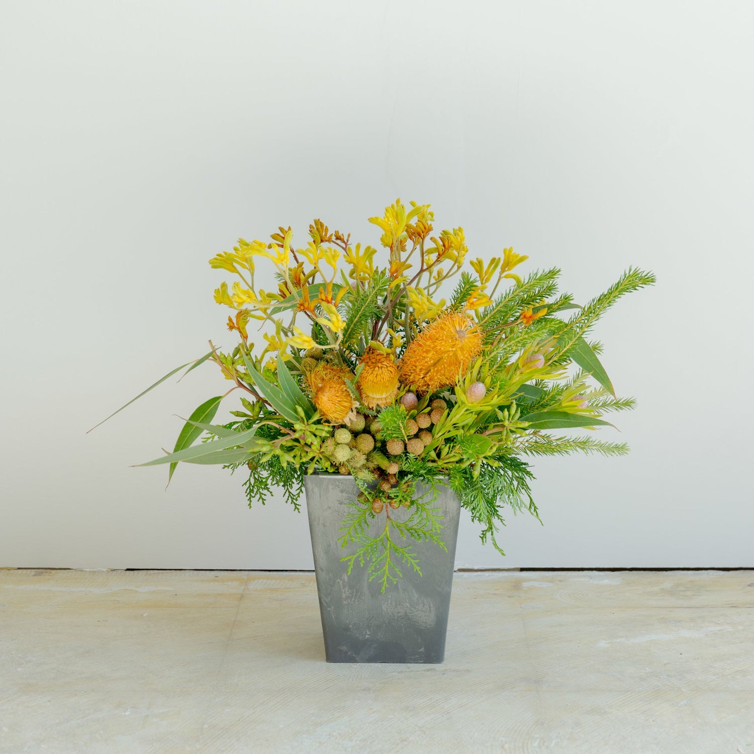 カンガルーポーのギフトをオーダーするならFlower&Plants tette │ 「手から手へ、想いを運ぶフラワーショップ」【板橋駅徒歩4分】【熟練フローリスト夫婦が運営】【最短2営業日で発送】【24時間365日注文OK】【ギフトは3300円〜】フラワーギフトを手から手へ、想いを込めたブーケやアレンジメントで大切な人に感謝と愛情を。シーンや用途に合わせて選びやすい豊富な種