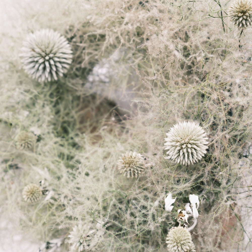 ドライリース スモークツリーをオーダーするならFlower&Plants tette │ 「手から手へ、想いを運ぶフラワーショップ」【板橋駅徒歩4分】【熟練フローリスト夫婦が運営】【最短2営業日で発送】【24時間365日注文OK】【ギフトは3300円〜】フラワーギフトを手から手へ、想いを込めたブーケやアレンジメントで大切な人に感謝と愛情を。シーンや用途に合わせて選びやすい豊富な種