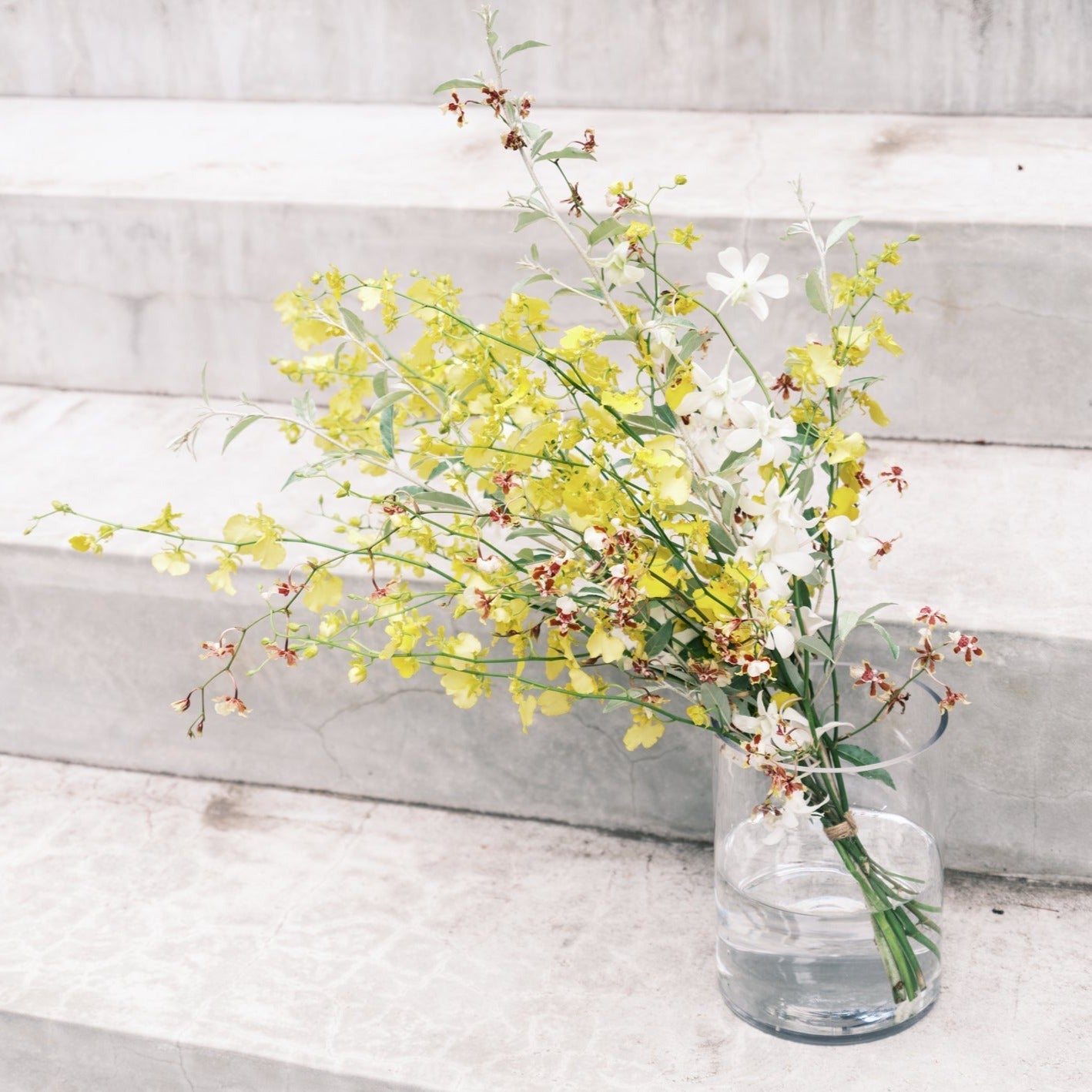 蘭のブーケをオーダーするならFlower&Plants tette │ 「手から手へ、想いを運ぶフラワーショップ」【板橋駅徒歩4分】【熟練フローリスト夫婦が運営】【最短2営業日で発送】【24時間365日注文OK】【ギフトは3300円〜】フラワーギフトを手から手へ、想いを込めたブーケやアレンジメントで大切な人に感謝と愛情を。シーンや用途に合わせて選びやすい豊富な種