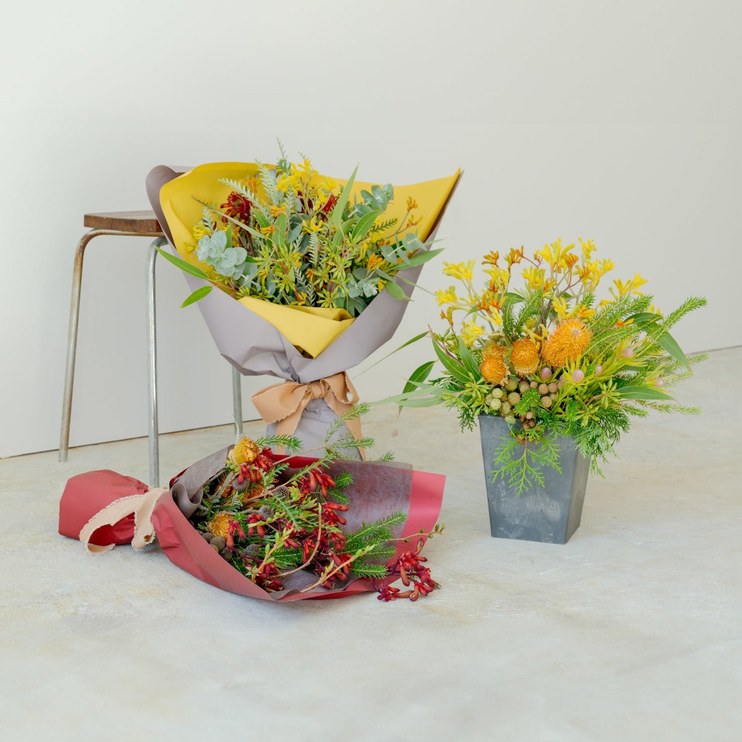 カンガルーポーのギフトをオーダーするならFlower&Plants tette │ 「手から手へ、想いを運ぶフラワーショップ」【板橋駅徒歩4分】【熟練フローリスト夫婦が運営】【最短2営業日で発送】【24時間365日注文OK】【ギフトは3300円〜】フラワーギフトを手から手へ、想いを込めたブーケやアレンジメントで大切な人に感謝と愛情を。シーンや用途に合わせて選びやすい豊富な種