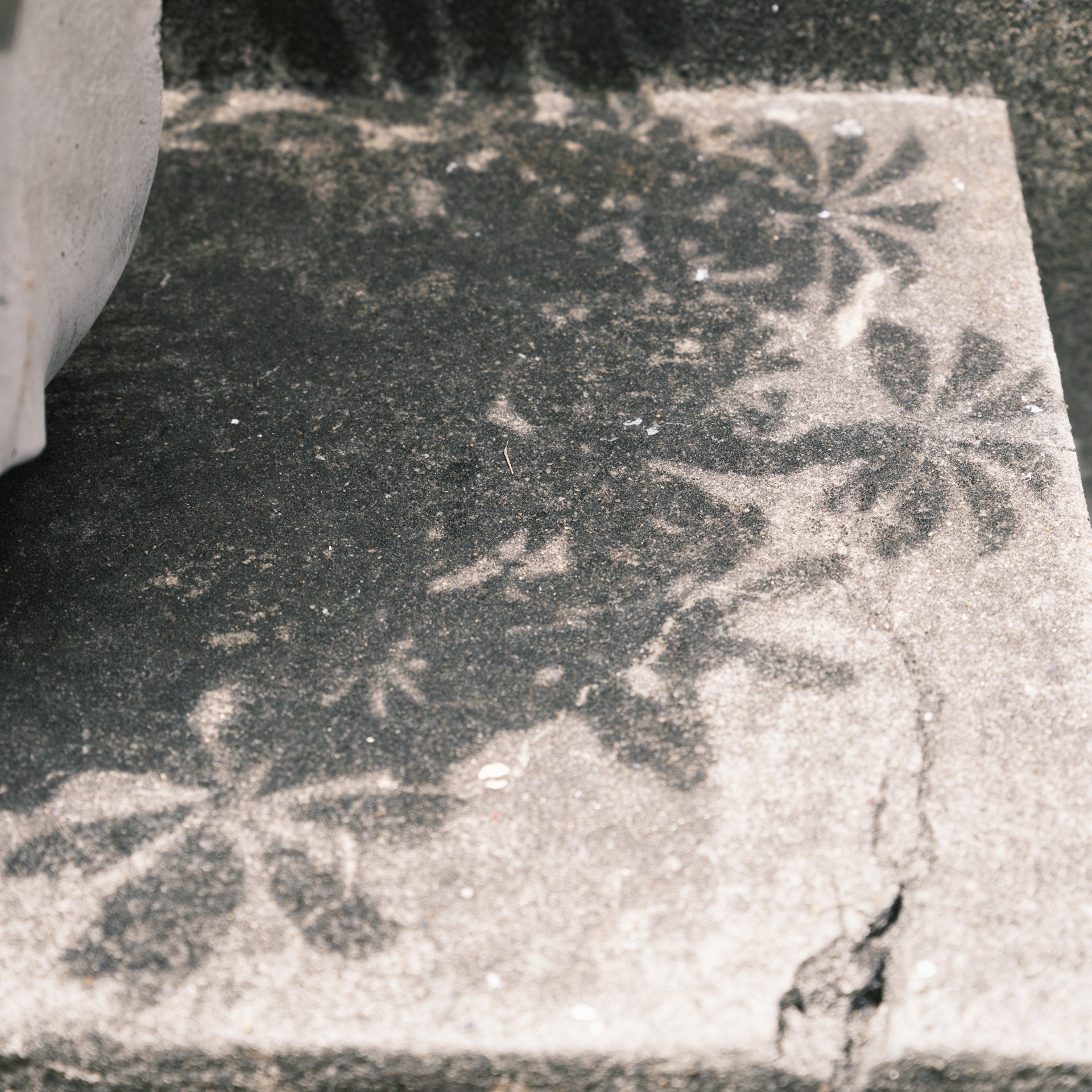 シェフレラコンパクタをオーダーするならFlower&Plants tette │ 「手から手へ、想いを運ぶフラワーショップ」【板橋駅徒歩4分】【熟練フローリスト夫婦が運営】【最短2営業日で発送】【24時間365日注文OK】【ギフトは3300円〜】フラワーギフトを手から手へ、想いを込めたブーケやアレンジメントで大切な人に感謝と愛情を。シーンや用途に合わせて選びやすい豊富な種