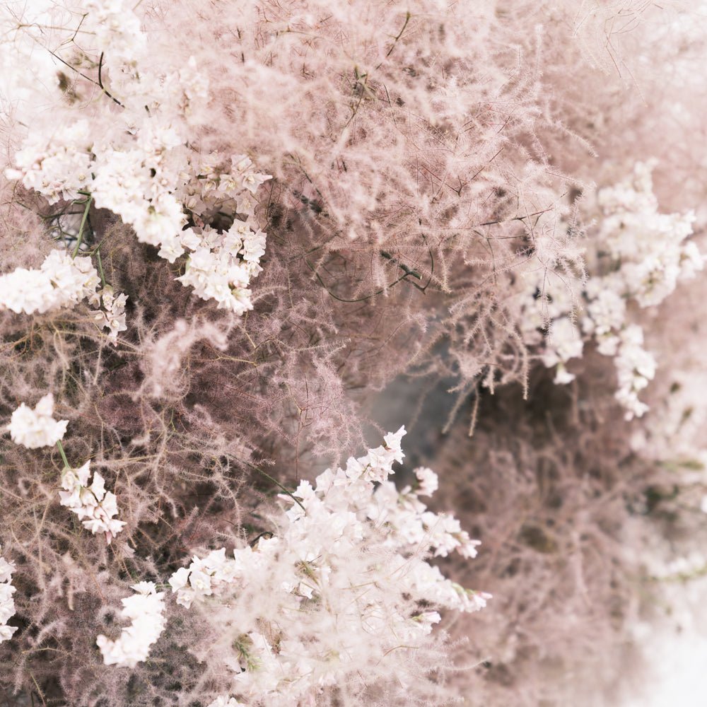 ドライリース スモークツリーをオーダーするならFlower&Plants tette │ 「手から手へ、想いを運ぶフラワーショップ」【板橋駅徒歩4分】【熟練フローリスト夫婦が運営】【最短2営業日で発送】【24時間365日注文OK】【ギフトは3300円〜】フラワーギフトを手から手へ、想いを込めたブーケやアレンジメントで大切な人に感謝と愛情を。シーンや用途に合わせて選びやすい豊富な種