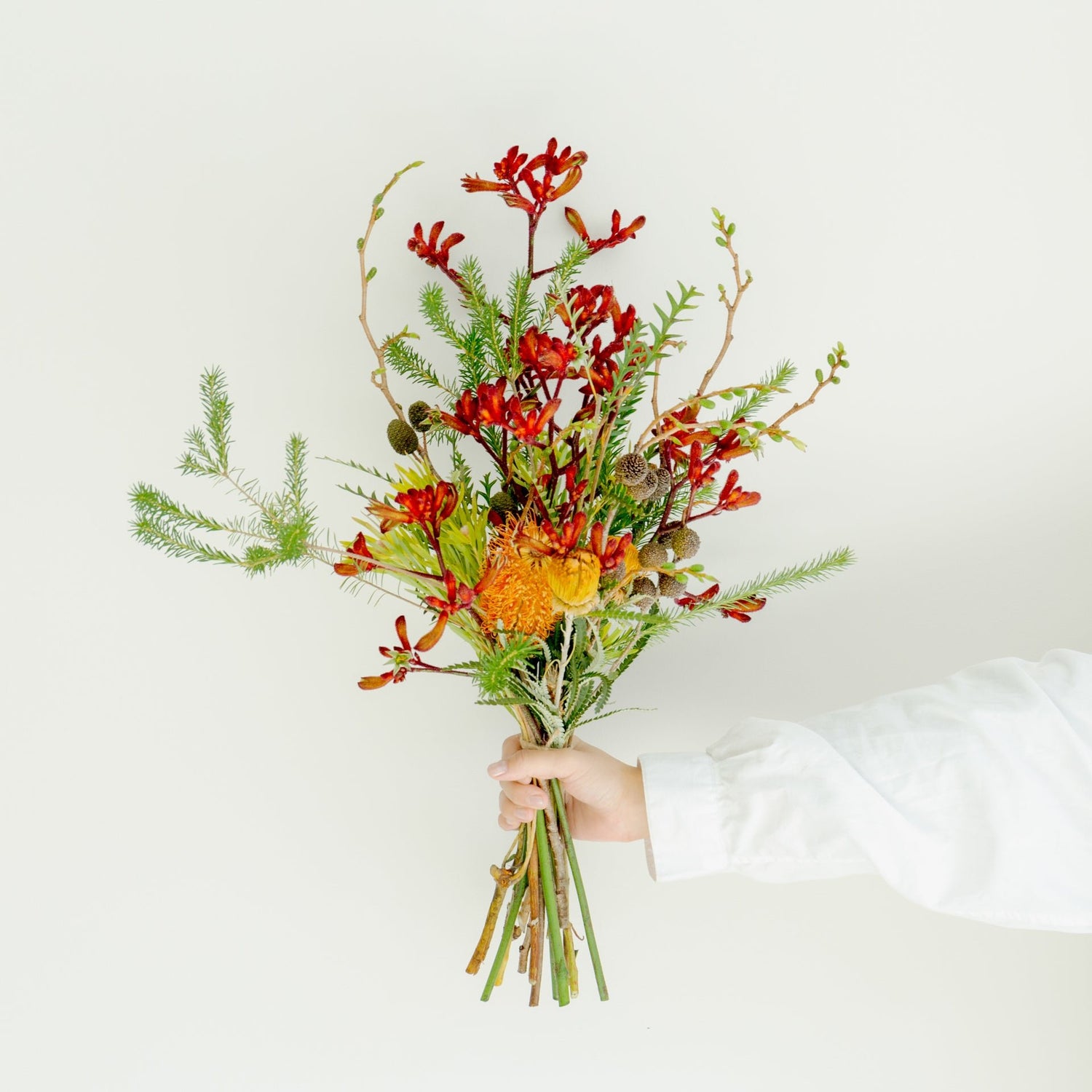 カンガルーポーのギフトをオーダーするならFlower&Plants tette │ 「手から手へ、想いを運ぶフラワーショップ」【板橋駅徒歩4分】【熟練フローリスト夫婦が運営】【最短2営業日で発送】【24時間365日注文OK】【ギフトは3300円〜】フラワーギフトを手から手へ、想いを込めたブーケやアレンジメントで大切な人に感謝と愛情を。シーンや用途に合わせて選びやすい豊富な種