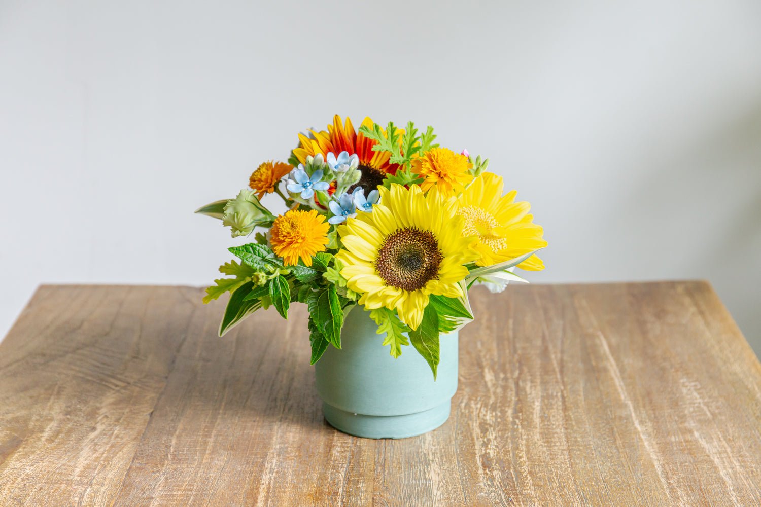 7月のキッズレッスンのお知らせです🌻 - Flower&Plants tette