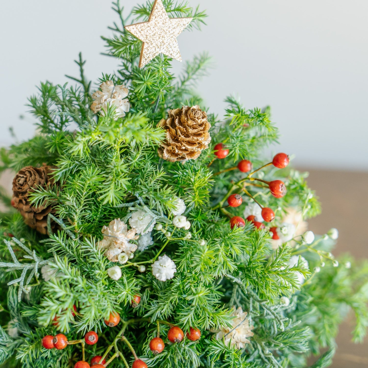 キッズ向け👦クリスマスツリーアレンジメントレッスンのお知らせです🎄