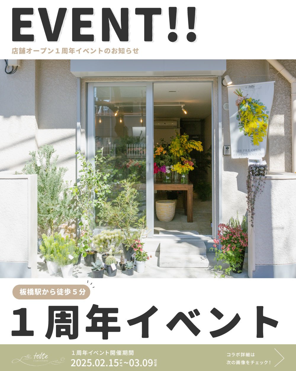 Flower&Plants tetteが１周年を迎えます🎉🎉 - Flower&Plants tette