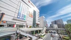 【現役花屋が選ぶ】川口駅周辺のおすすめ花屋！おしゃれで人気のお店をシーン別に徹底解説 - Flower&Plants tette