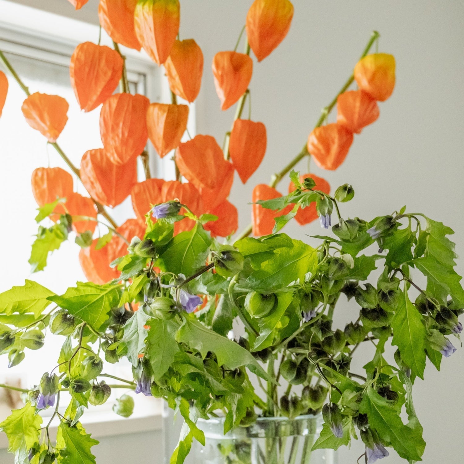 夏季休業のお知らせ - Flower&Plants tette