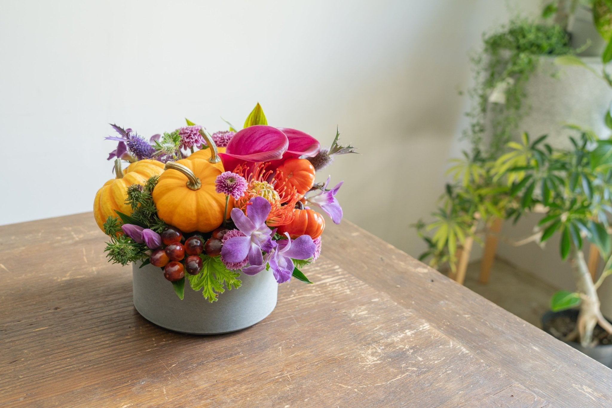 ハロウィンアレンジメントがリリースしました！👻 - Flower&Plants tette