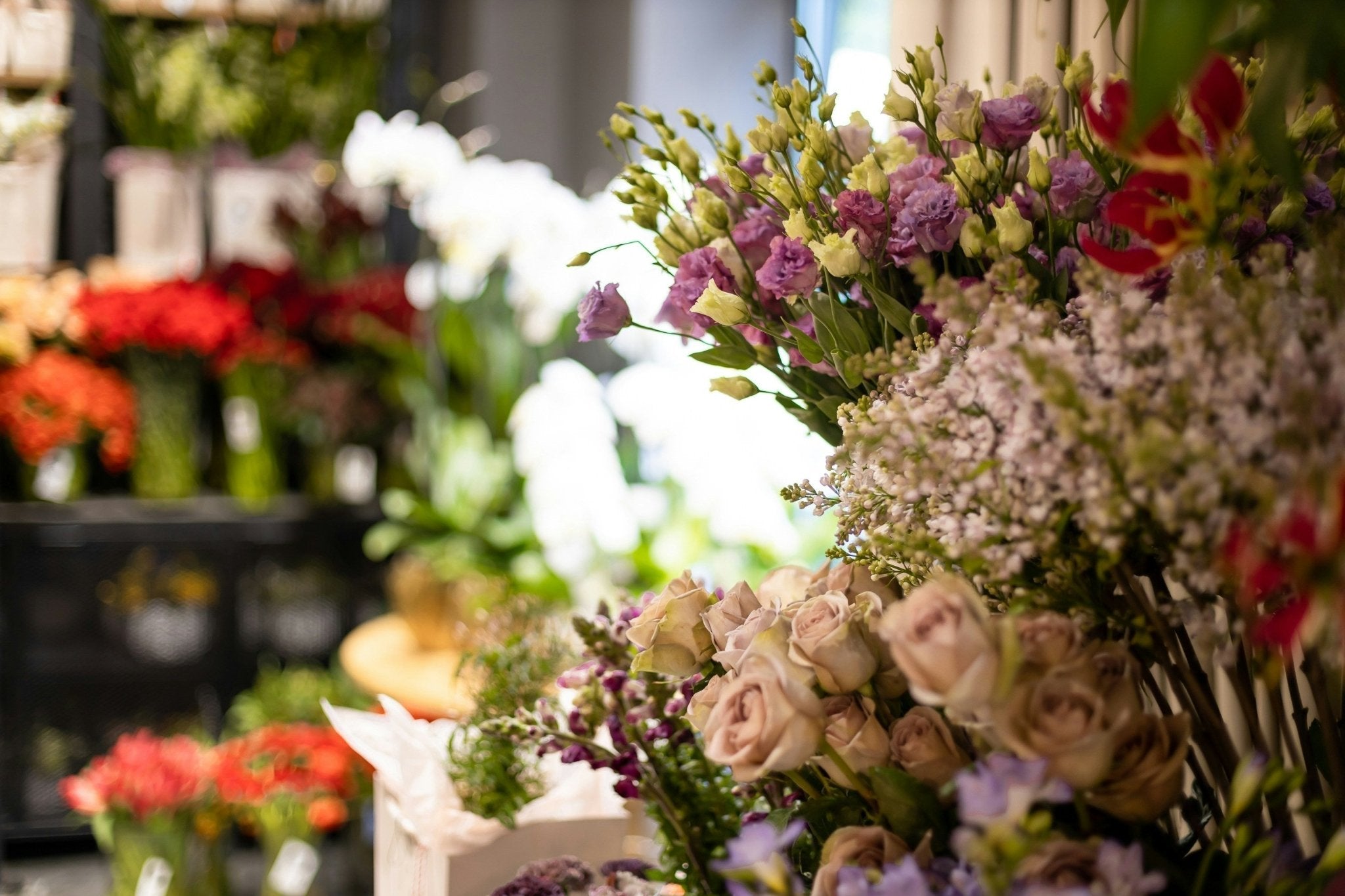 【現役花屋が選ぶ】大山駅の花屋特集！おしゃれで人気のおすすめ店を厳選 - Flower&Plants tette
