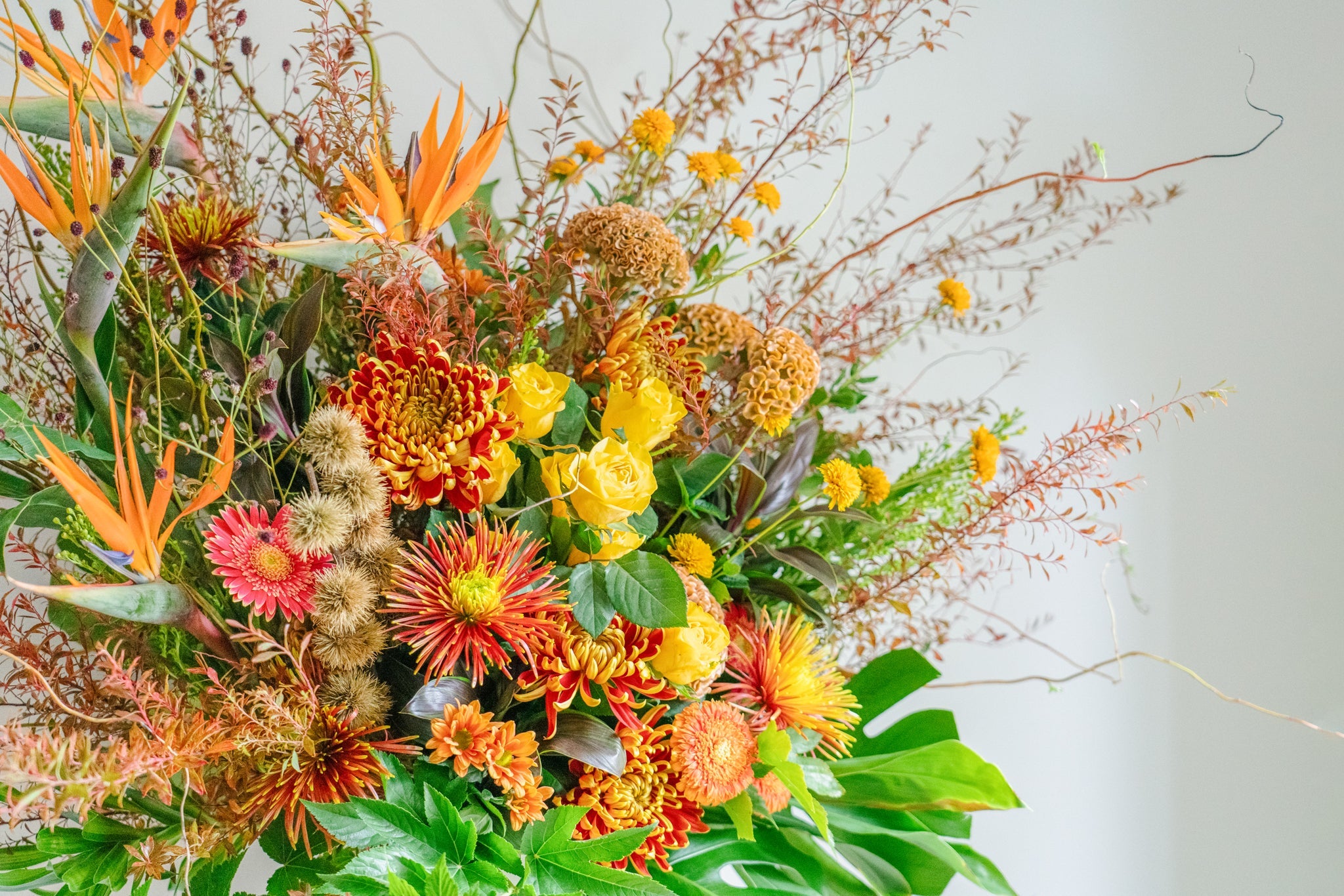 【2025年版】池袋のフラワースタンド決定版！失敗しない選び方とおすすめ優良店10選