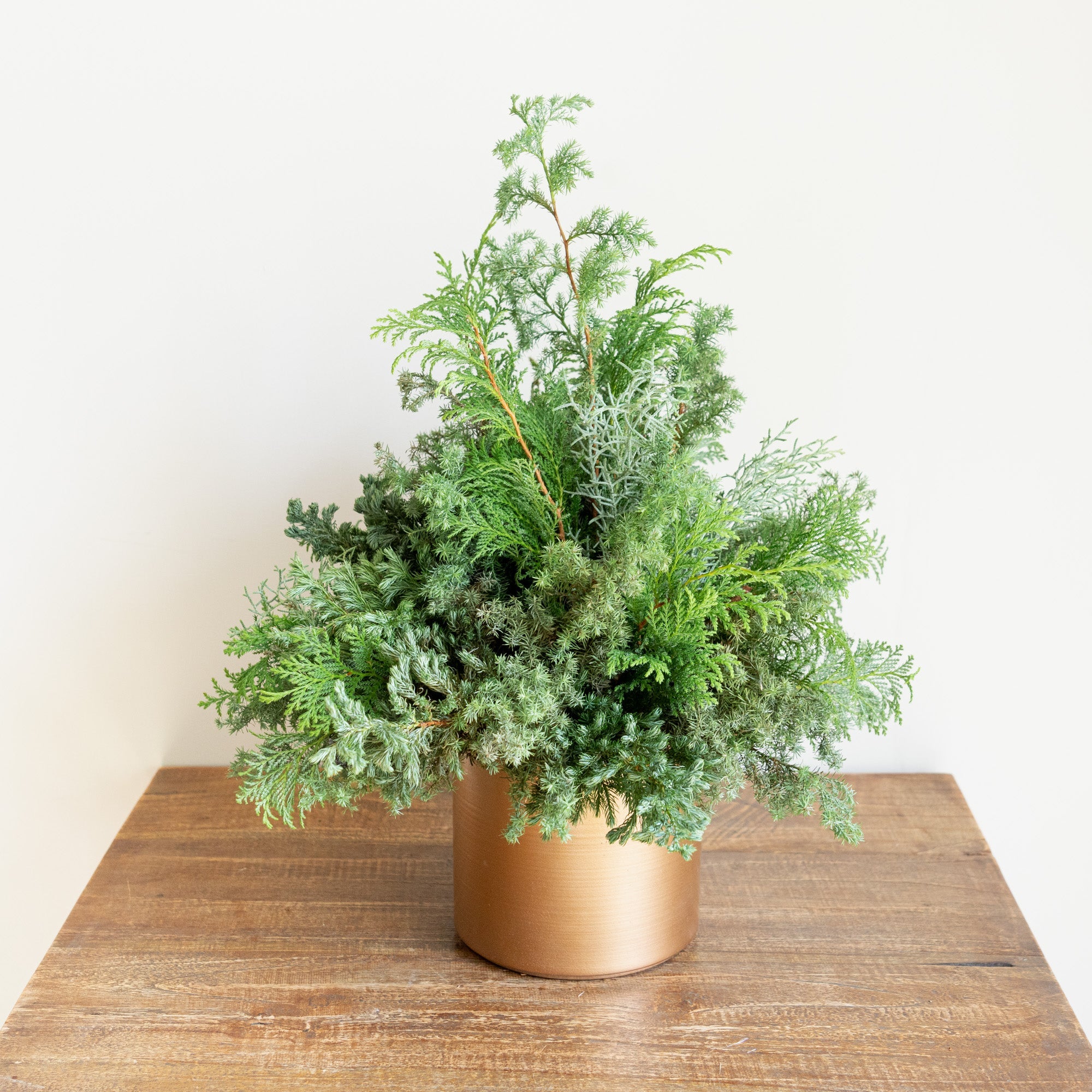 グリーンクリスマスツリーアレンジメント2024をオーダーするならFlower&amp;Plants tette │ 「手から手へ、想いを運ぶフラワーショップ」【板橋駅徒歩4分】【熟練フローリスト夫婦が運営】【最短2営業日で発送】【24時間365日注文OK】【ギフトは3300円〜】フラワーギフトを手から手へ、想いを込めたブーケやアレンジメントで大切な人に感謝と愛情を。シーンや用途に合わせて選びやすい豊富な種