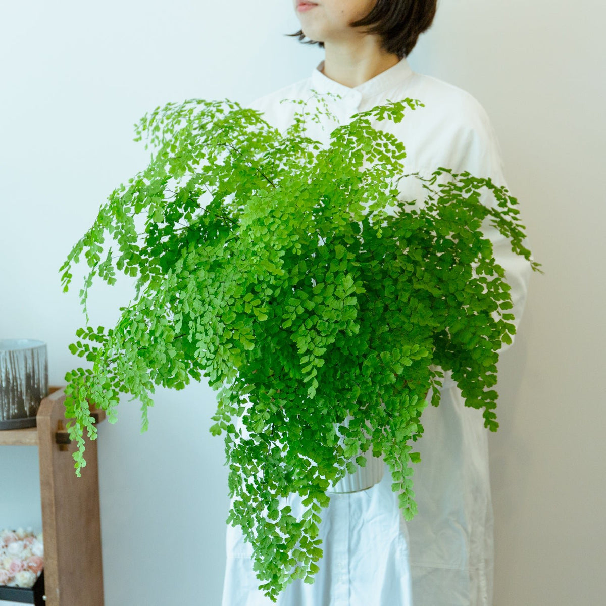 アジアンタム５号をオーダーするならFlower&amp;Plants tette │ 「手から手へ、想いを運ぶフラワーショップ」【板橋駅徒歩4分】【熟練フローリスト夫婦が運営】【最短2営業日で発送】【24時間365日注文OK】【ギフトは3300円〜】フラワーギフトを手から手へ、想いを込めたブーケやアレンジメントで大切な人に感謝と愛情を。シーンや用途に合わせて選びやすい豊富な種
