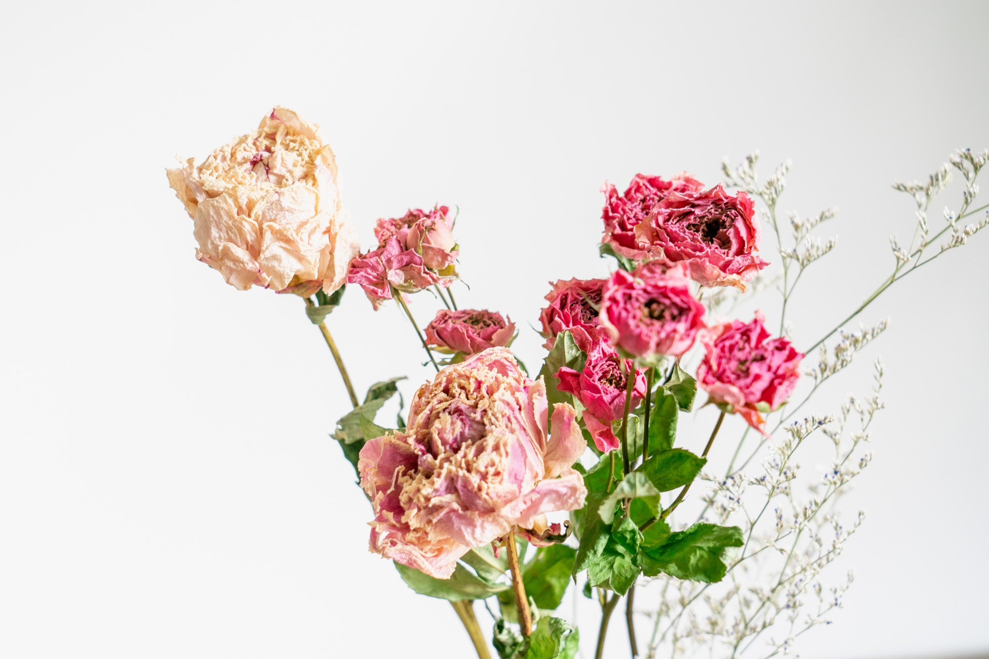 ドライフラワーの定期便ならFlower&Plants tette │「手から手へ、想い