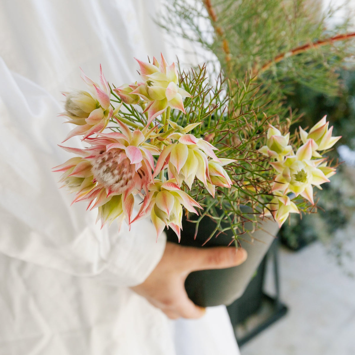 セルリア プリティピンクをオーダーするならFlower&amp;Plants tette │ 「手から手へ、想いを運ぶフラワーショップ」【板橋駅徒歩4分】【熟練フローリスト夫婦が運営】【最短2営業日で発送】【24時間365日注文OK】【ギフトは3300円〜】フラワーギフトを手から手へ、想いを込めたブーケやアレンジメントで大切な人に感謝と愛情を。シーンや用途に合わせて選びやすい豊富な種