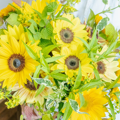 ひまわりのギフトをオーダーするならFlower&amp;Plants tette │ 「手から手へ、想いを運ぶフラワーショップ」【板橋駅徒歩4分】【熟練フローリスト夫婦が運営】【最短2営業日で発送】【24時間365日注文OK】【ギフトは3300円〜】フラワーギフトを手から手へ、想いを込めたブーケやアレンジメントで大切な人に感謝と愛情を。シーンや用途に合わせて選びやすい豊富な種