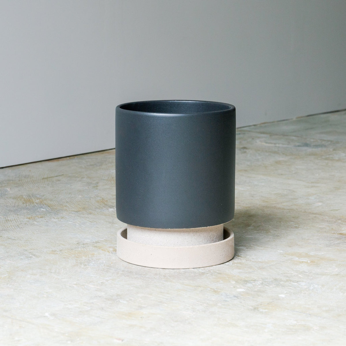 パラドックトールをオーダーするならFlower&amp;Plants tette │ 「手から手へ、想いを運ぶフラワーショップ」【板橋駅徒歩4分】【熟練フローリスト夫婦が運営】【最短2営業日で発送】【24時間365日注文OK】【ギフトは3300円〜】フラワーギフトを手から手へ、想いを込めたブーケやアレンジメントで大切な人に感謝と愛情を。シーンや用途に合わせて選びやすい豊富な種