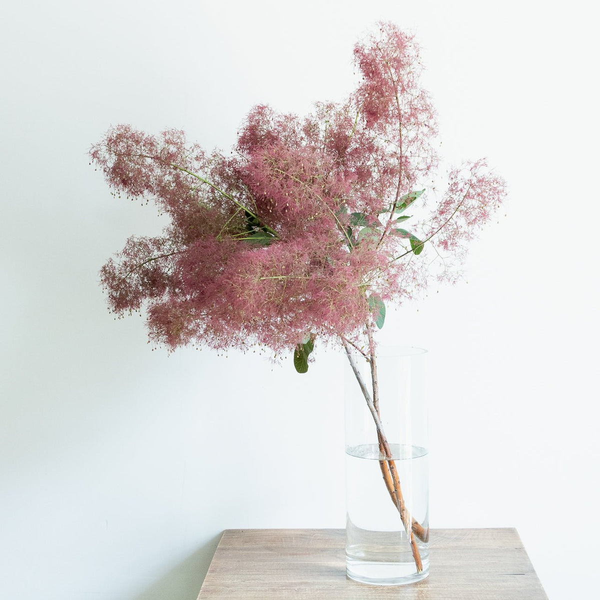 枝もの定期便をオーダーするならFlower&amp;Plants tette │ 「手から手へ、想いを運ぶフラワーショップ」【板橋駅徒歩4分】【熟練フローリスト夫婦が運営】【最短2営業日で発送】【24時間365日注文OK】【ギフトは3300円〜】フラワーギフトを手から手へ、想いを込めたブーケやアレンジメントで大切な人に感謝と愛情を。シーンや用途に合わせて選びやすい豊富な種