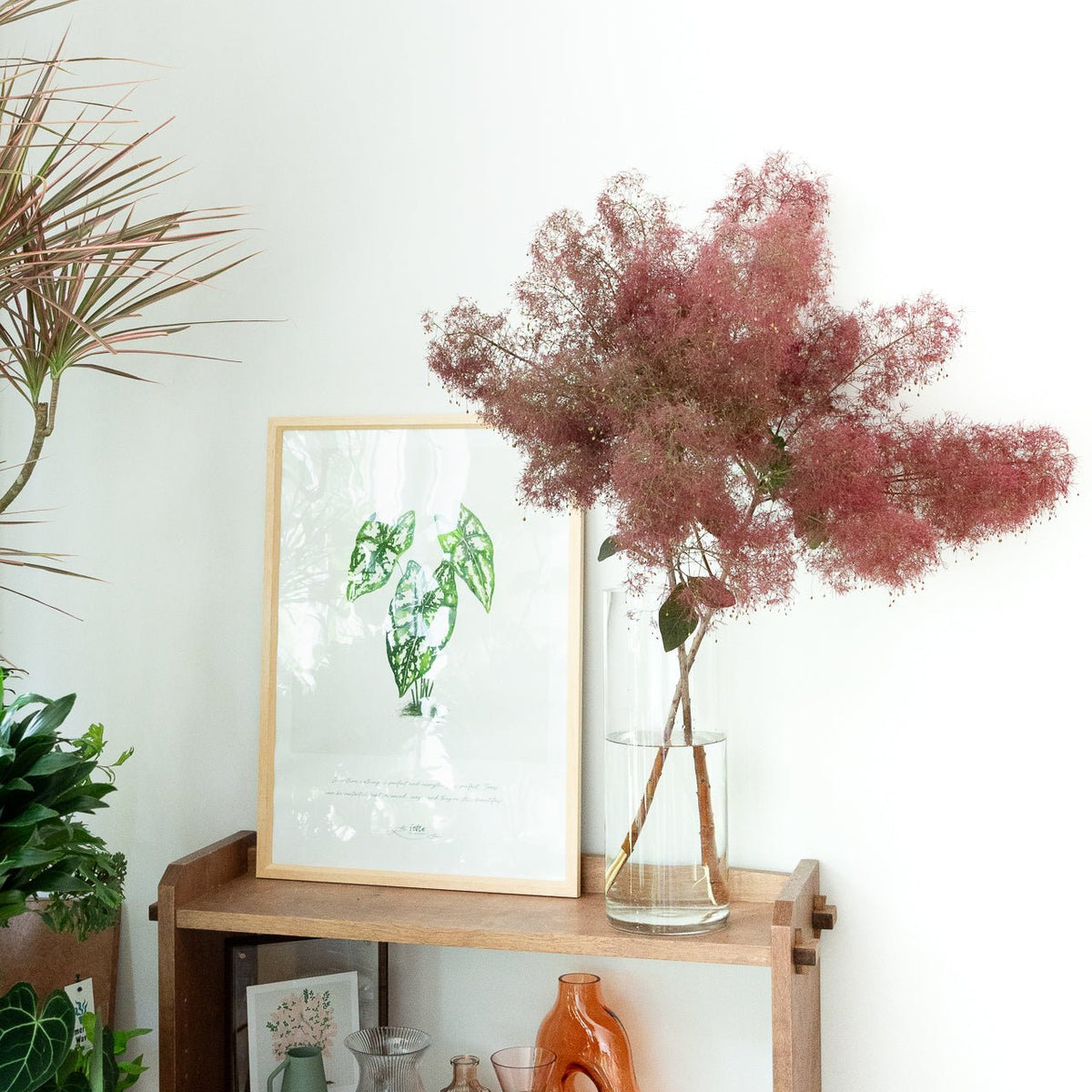 枝もの定期便をオーダーするならFlower&amp;Plants tette │ 「手から手へ、想いを運ぶフラワーショップ」【板橋駅徒歩4分】【熟練フローリスト夫婦が運営】【最短2営業日で発送】【24時間365日注文OK】【ギフトは3300円〜】フラワーギフトを手から手へ、想いを込めたブーケやアレンジメントで大切な人に感謝と愛情を。シーンや用途に合わせて選びやすい豊富な種