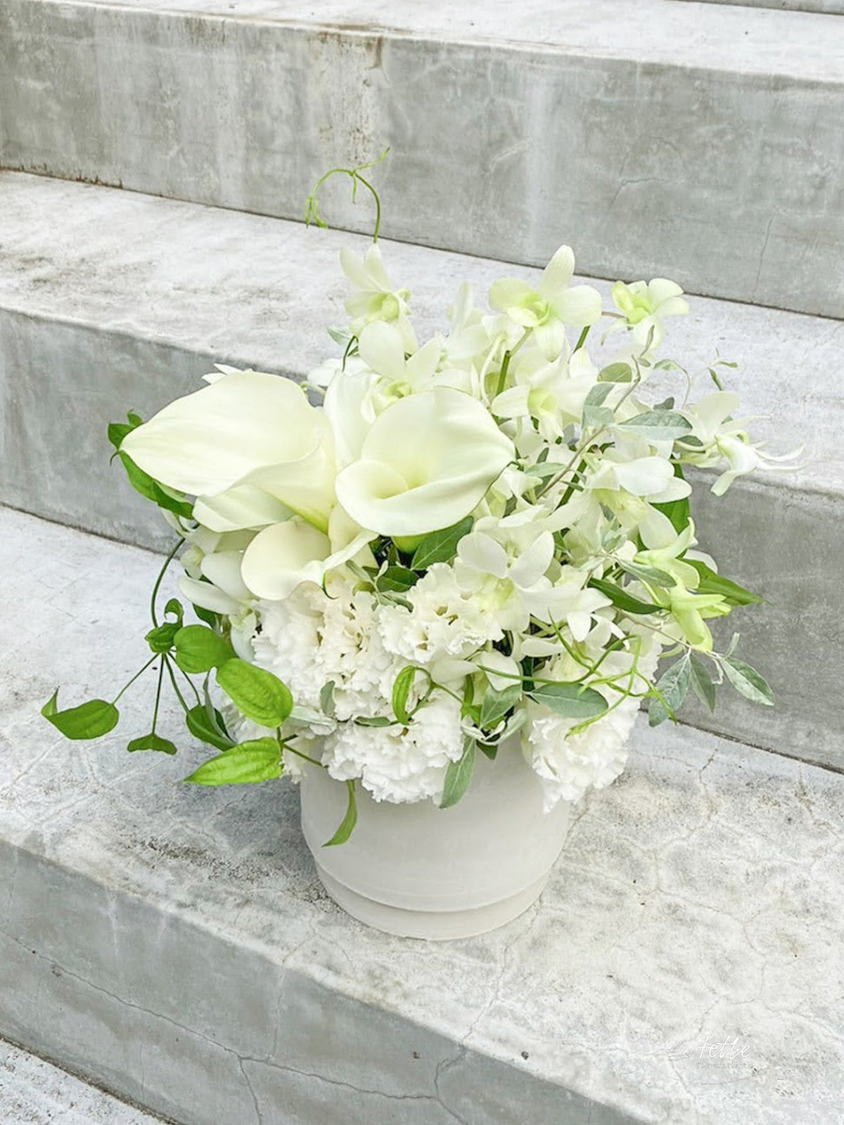 お供えアレンジメント ホワイト系をオーダーするならFlower&amp;Plants tette │ 「手から手へ、想いを運ぶフラワーショップ」【板橋駅徒歩4分】【熟練フローリスト夫婦が運営】【最短2営業日で発送】【24時間365日注文OK】【ギフトは3300円〜】フラワーギフトを手から手へ、想いを込めたブーケやアレンジメントで大切な人に感謝と愛情を。シーンや用途に合わせて選びやすい豊富な種