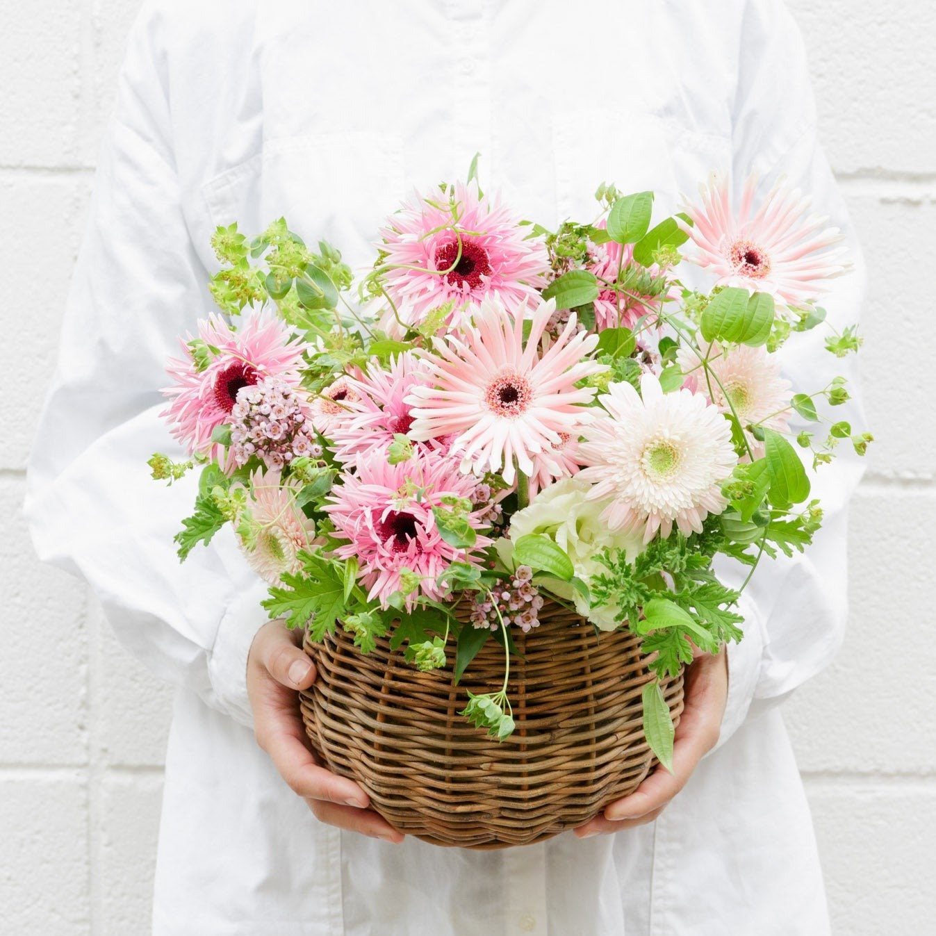 ガーベラのギフト - Flower&Plants tette