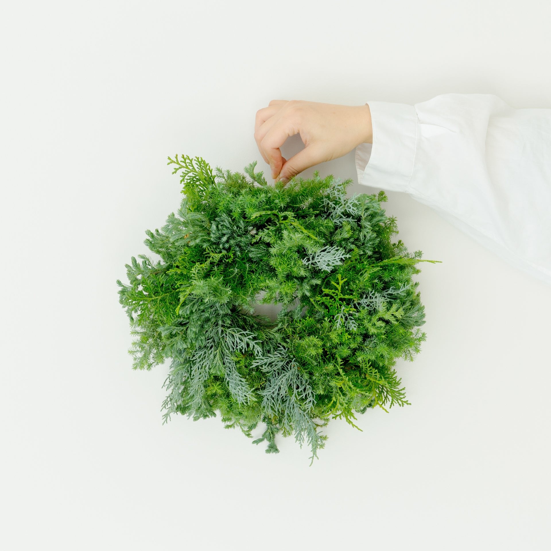 クリスマスリース(グリーン)をオーダーするならFlower&amp;Plants tette │ 「手から手へ、想いを運ぶフラワーショップ」【板橋駅徒歩4分】【熟練フローリスト夫婦が運営】【最短2営業日で発送】【24時間365日注文OK】【ギフトは3300円〜】フラワーギフトを手から手へ、想いを込めたブーケやアレンジメントで大切な人に感謝と愛情を。シーンや用途に合わせて選びやすい豊富な種