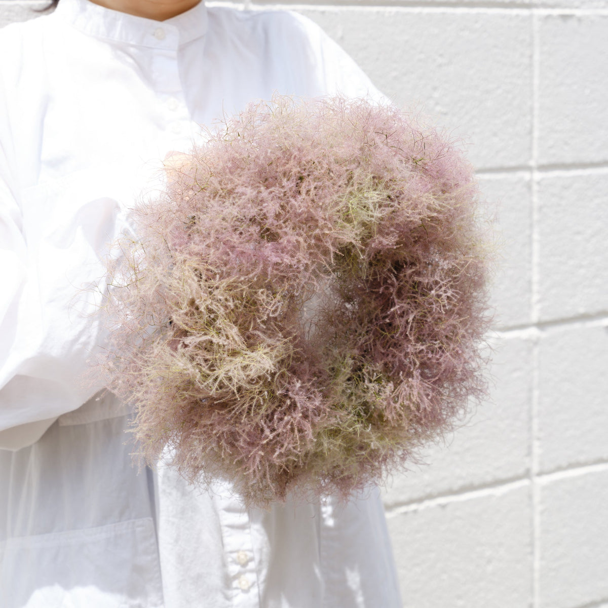 ドライリース スモークツリーをオーダーするならFlower&amp;Plants tette │ 「手から手へ、想いを運ぶフラワーショップ」【板橋駅徒歩4分】【熟練フローリスト夫婦が運営】【最短2営業日で発送】【24時間365日注文OK】【ギフトは3300円〜】フラワーギフトを手から手へ、想いを込めたブーケやアレンジメントで大切な人に感謝と愛情を。シーンや用途に合わせて選びやすい豊富な種