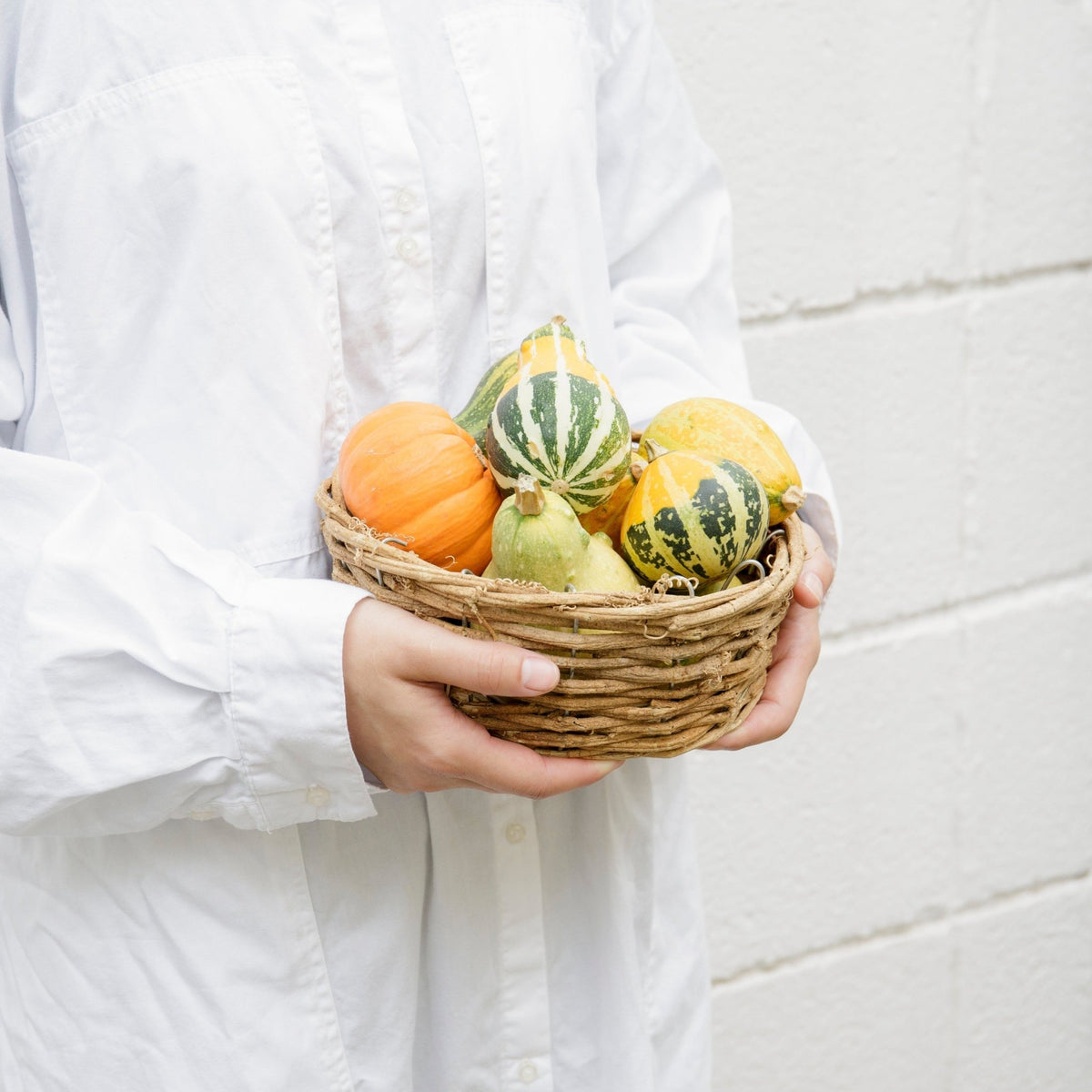 かぼちゃのバスケットをオーダーするならFlower&amp;Plants tette │ 「手から手へ、想いを運ぶフラワーショップ」【板橋駅徒歩4分】【熟練フローリスト夫婦が運営】【最短2営業日で発送】【24時間365日注文OK】【ギフトは3300円〜】フラワーギフトを手から手へ、想いを込めたブーケやアレンジメントで大切な人に感謝と愛情を。シーンや用途に合わせて選びやすい豊富な種