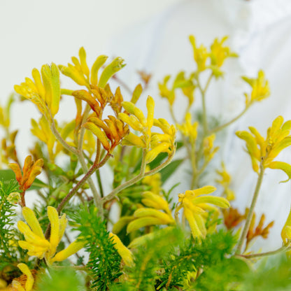 カンガルーポーのギフトをオーダーするならFlower&amp;Plants tette │ 「手から手へ、想いを運ぶフラワーショップ」【板橋駅徒歩4分】【熟練フローリスト夫婦が運営】【最短2営業日で発送】【24時間365日注文OK】【ギフトは3300円〜】フラワーギフトを手から手へ、想いを込めたブーケやアレンジメントで大切な人に感謝と愛情を。シーンや用途に合わせて選びやすい豊富な種