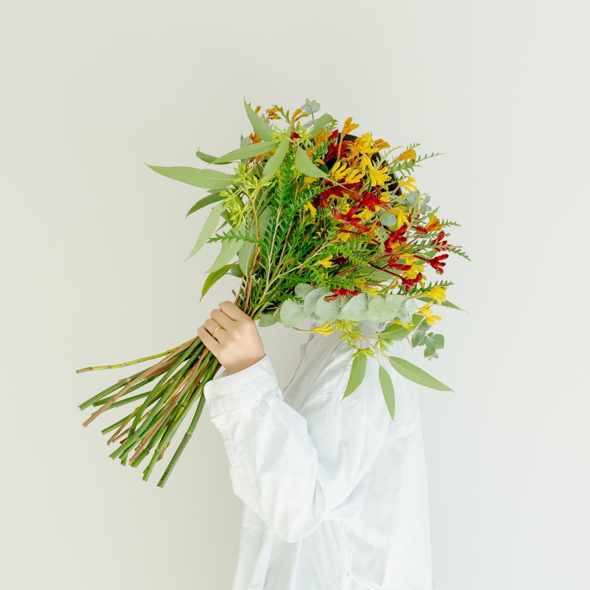 カンガルーポーのギフトをオーダーするならFlower&amp;Plants tette │ 「手から手へ、想いを運ぶフラワーショップ」【板橋駅徒歩4分】【熟練フローリスト夫婦が運営】【最短2営業日で発送】【24時間365日注文OK】【ギフトは3300円〜】フラワーギフトを手から手へ、想いを込めたブーケやアレンジメントで大切な人に感謝と愛情を。シーンや用途に合わせて選びやすい豊富な種