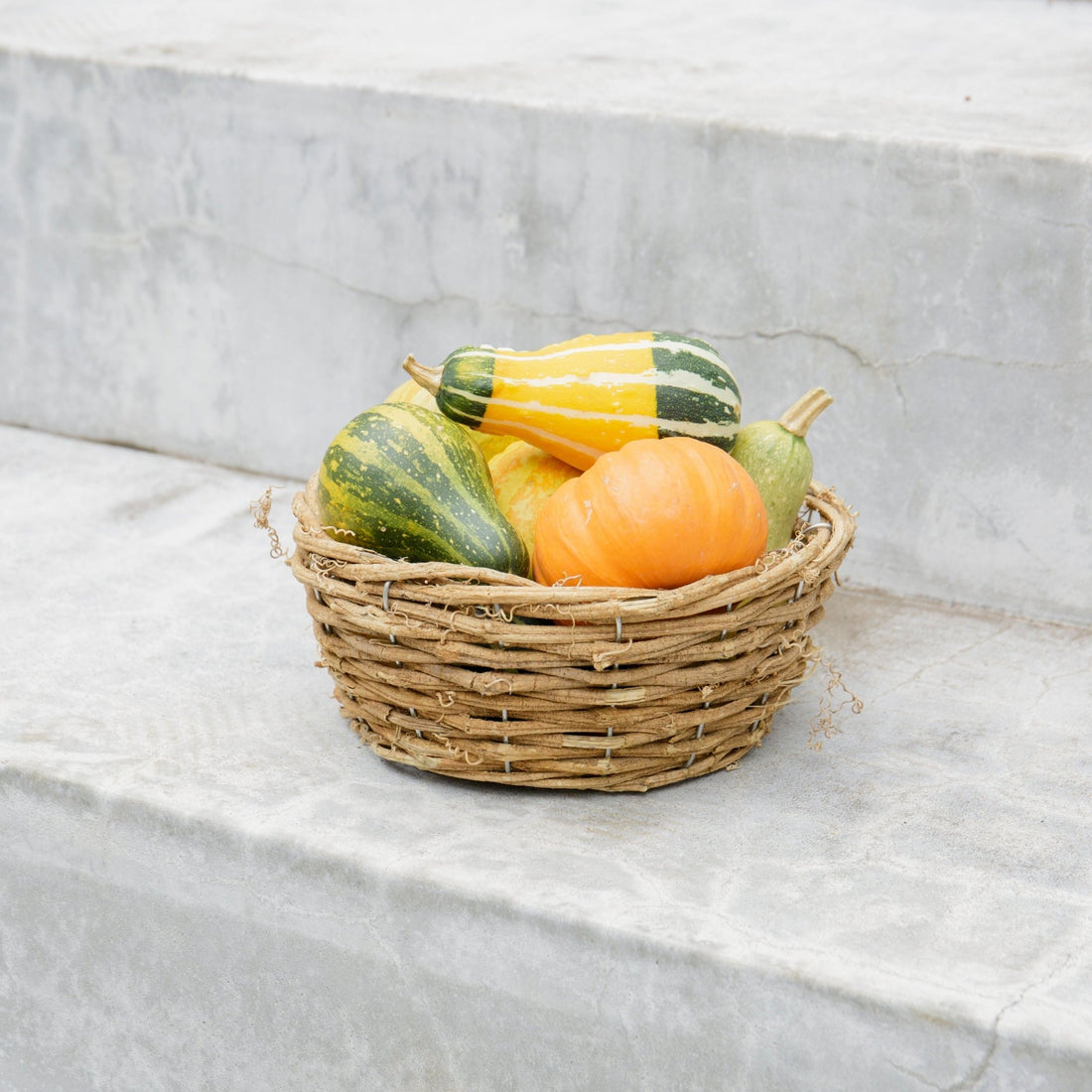 かぼちゃのバスケットをオーダーするならFlower&amp;Plants tette │ 「手から手へ、想いを運ぶフラワーショップ」【板橋駅徒歩4分】【熟練フローリスト夫婦が運営】【最短2営業日で発送】【24時間365日注文OK】【ギフトは3300円〜】フラワーギフトを手から手へ、想いを込めたブーケやアレンジメントで大切な人に感謝と愛情を。シーンや用途に合わせて選びやすい豊富な種